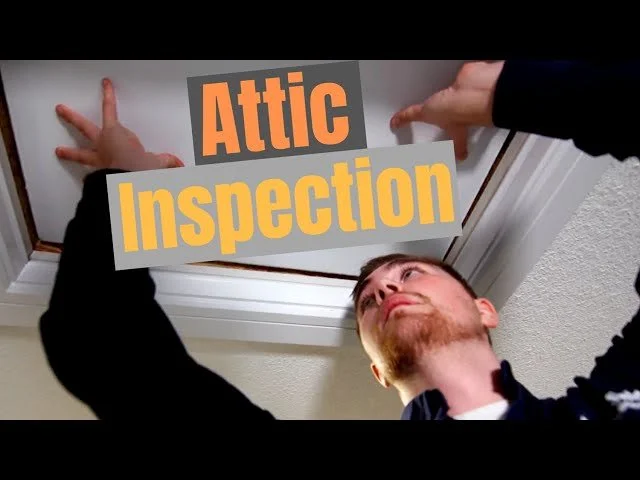 The Attic Inspection, Optional or Critical?