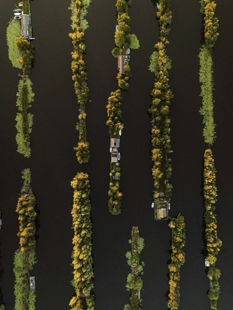 Luchtfoto van een landschap met smalle waterwegen en rijen bomen, met enkele kleine gebouwen en boten.