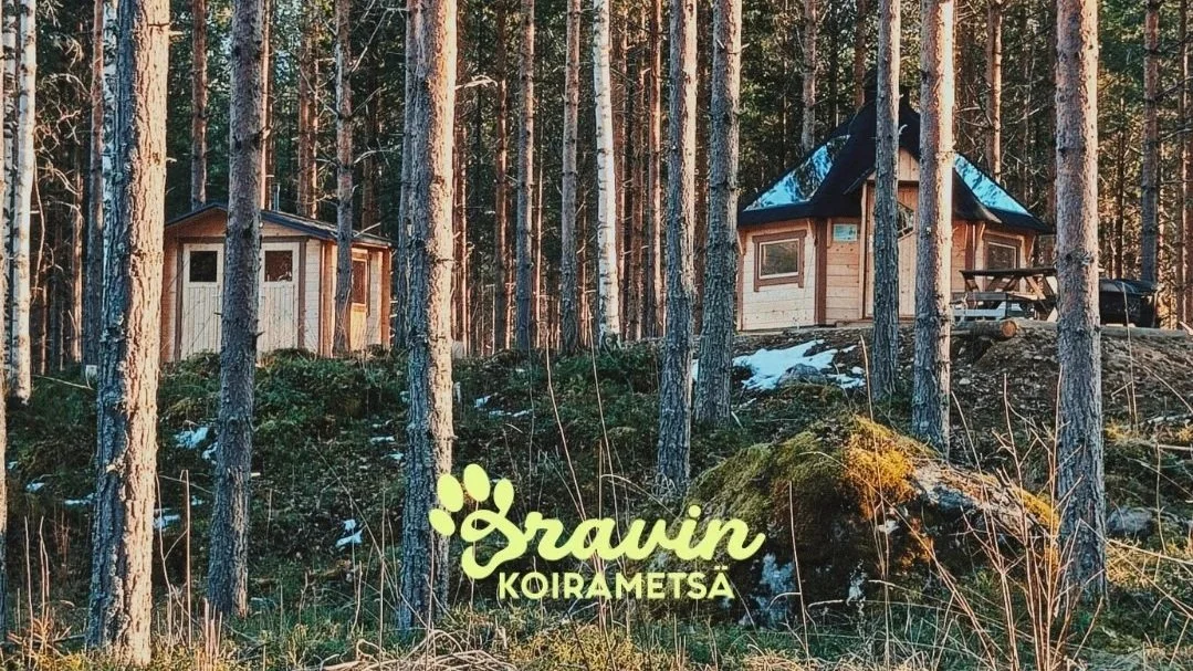 Koiranpäivän avoimet ovet