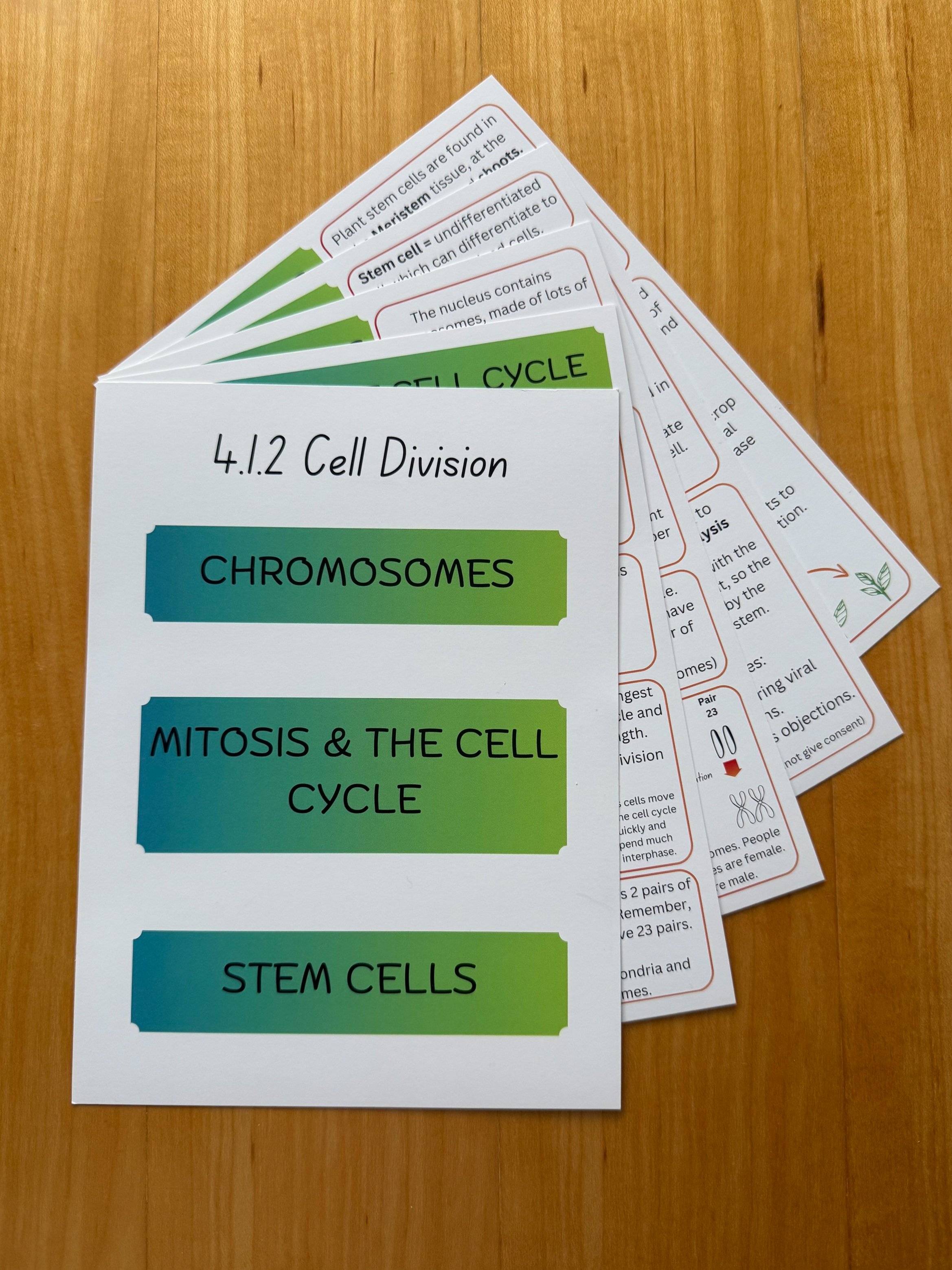4.1.2+Cell+Division+GCSE+Biology+Revision+Cards+%282%29.jpg