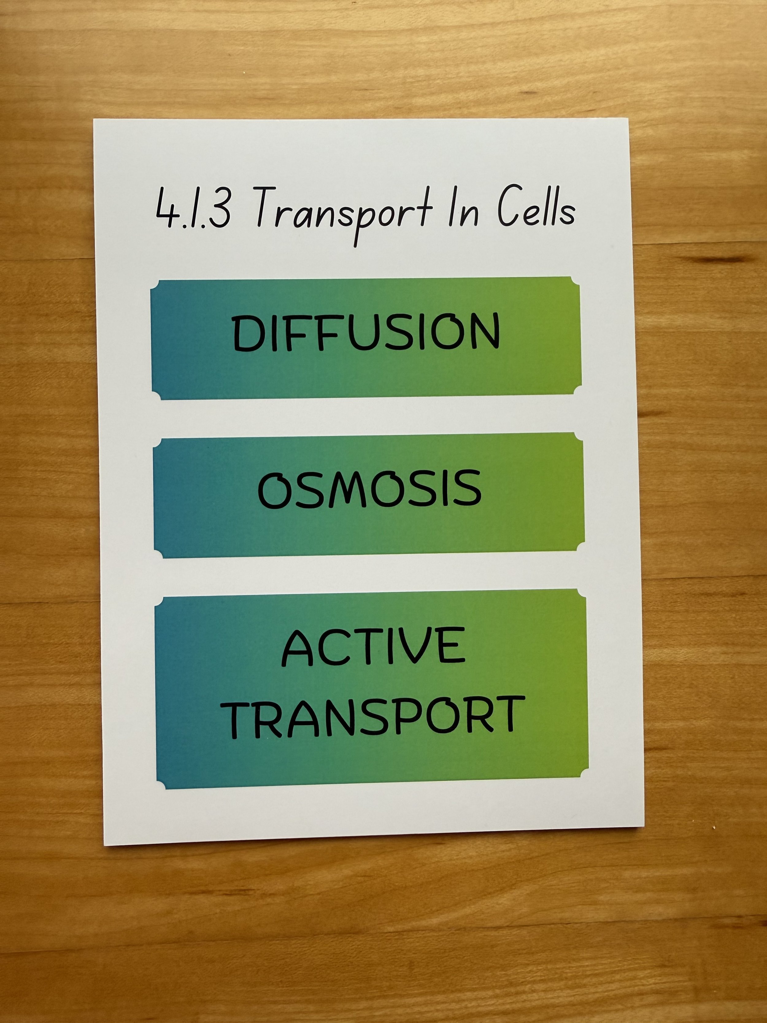 4.1.3 Transport in Cells GCSE Biology Revision cards.jpg