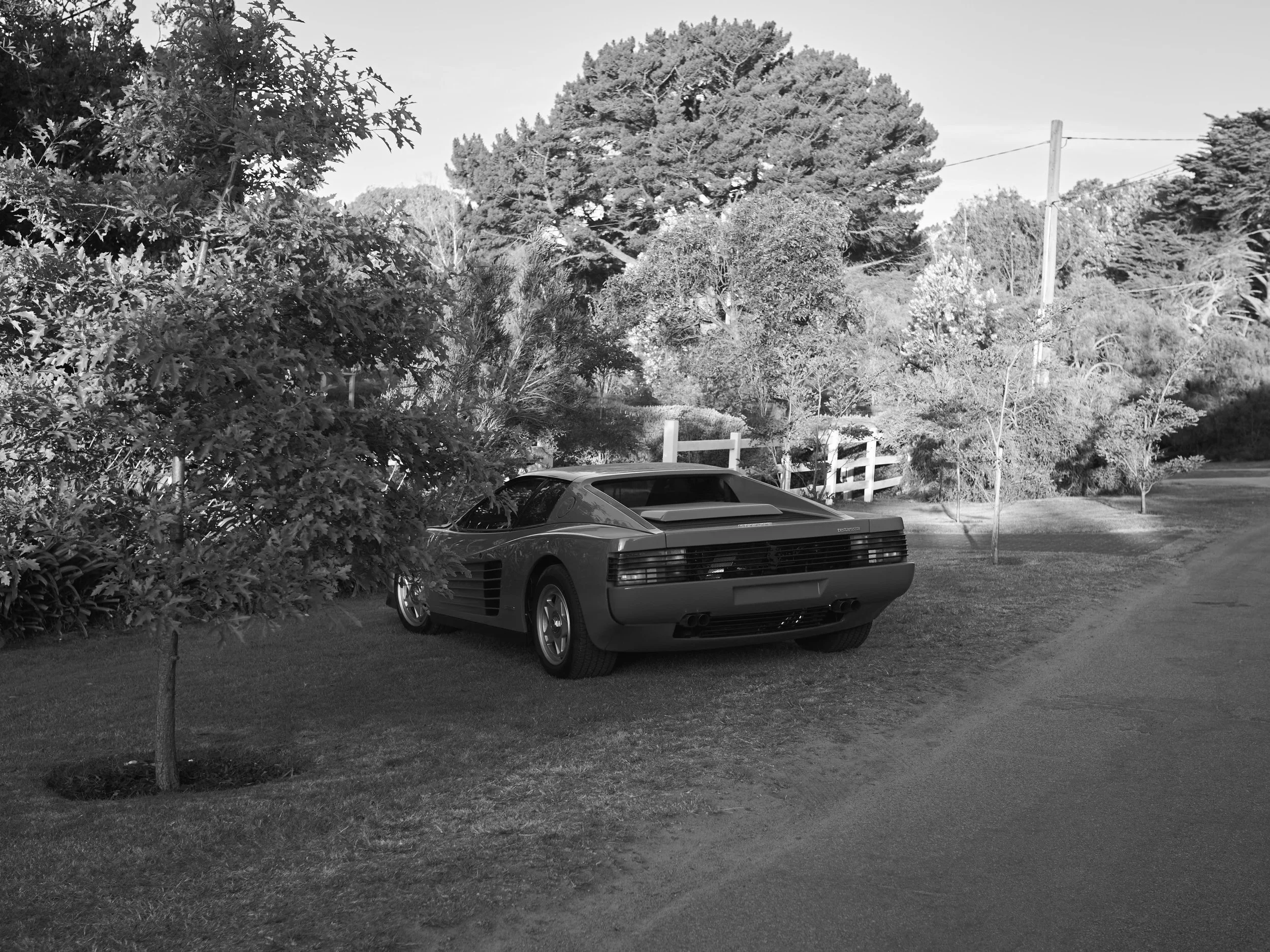 A classic sports car parked on a grassy area next to a small tree, with shrubs, trees, a fence, and utility poles in the background, on a paved road in a rural or suburban setting.