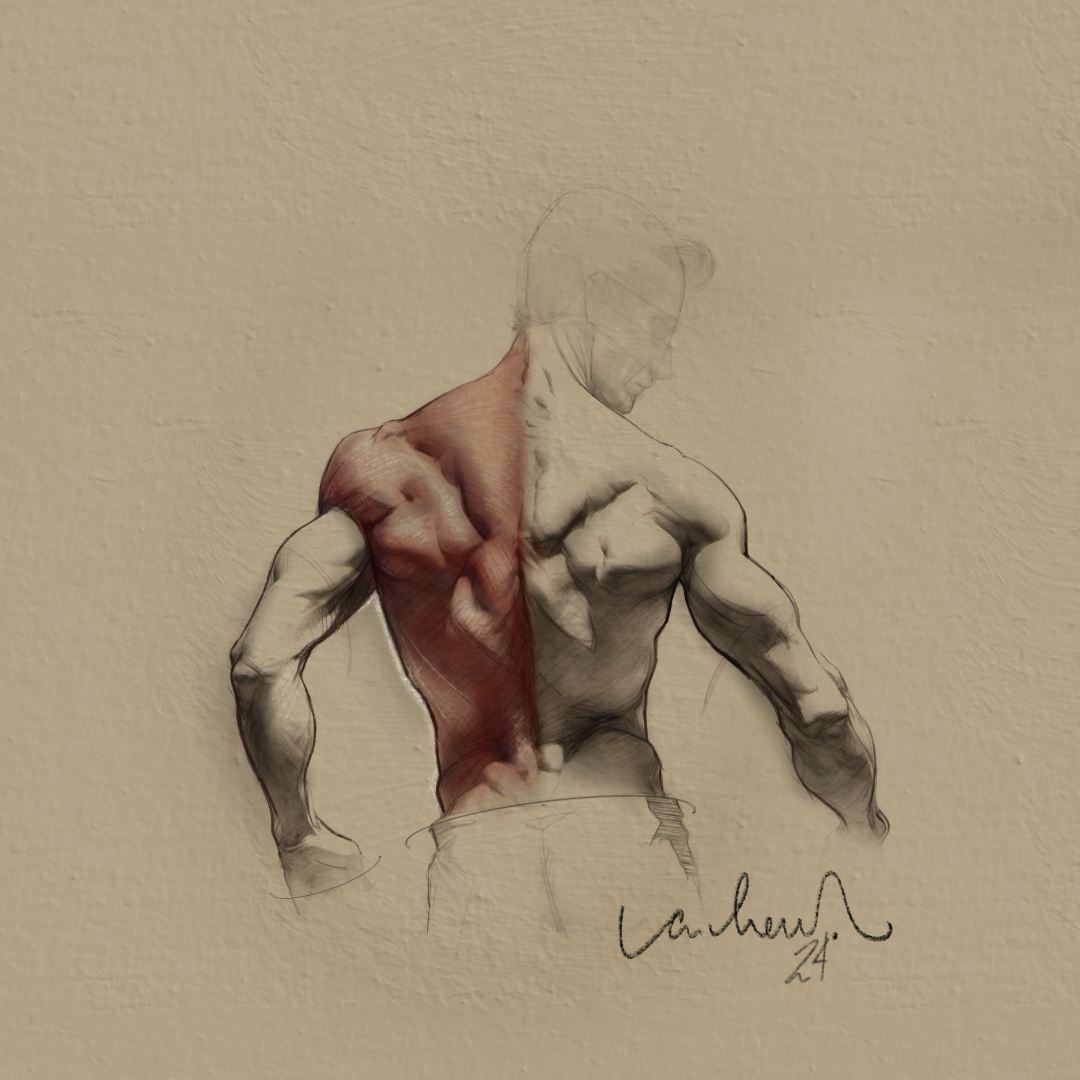Back Study.png
