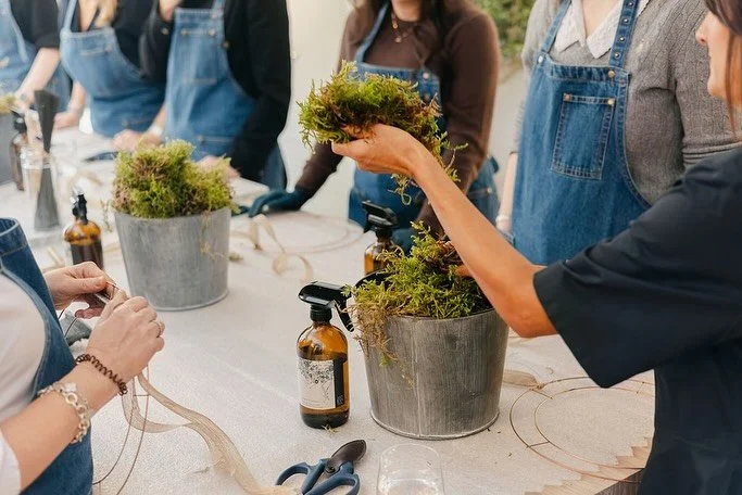 Hello 🙌🏼

We&rsquo;re gearing up for a jam packed Christmas wreathing season here in the studio and we want to share some of our amazing suppliers with you, because they are brilliant, hardworking folks with epic businesses, who care deeply about t