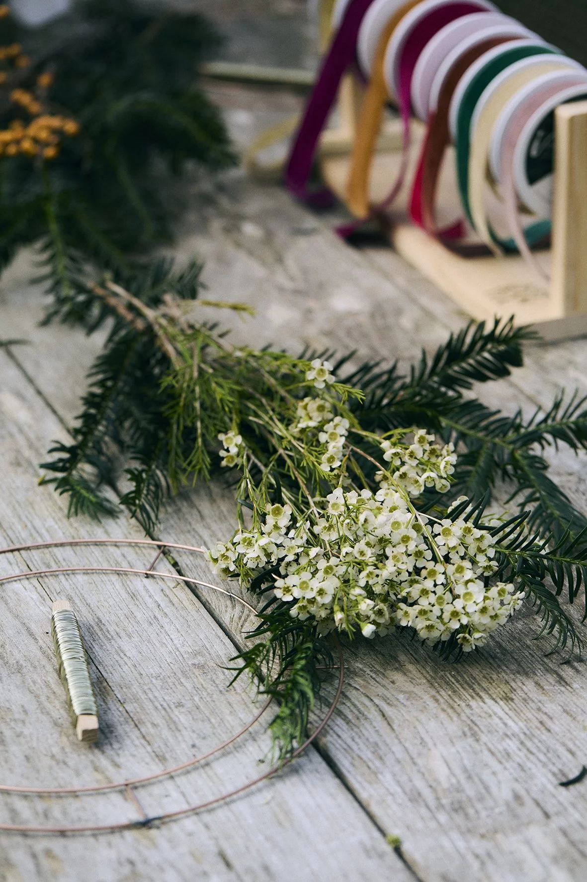 astrantia-floral-studio-christmas-wreath-workshop-wax-573A9891.jpg