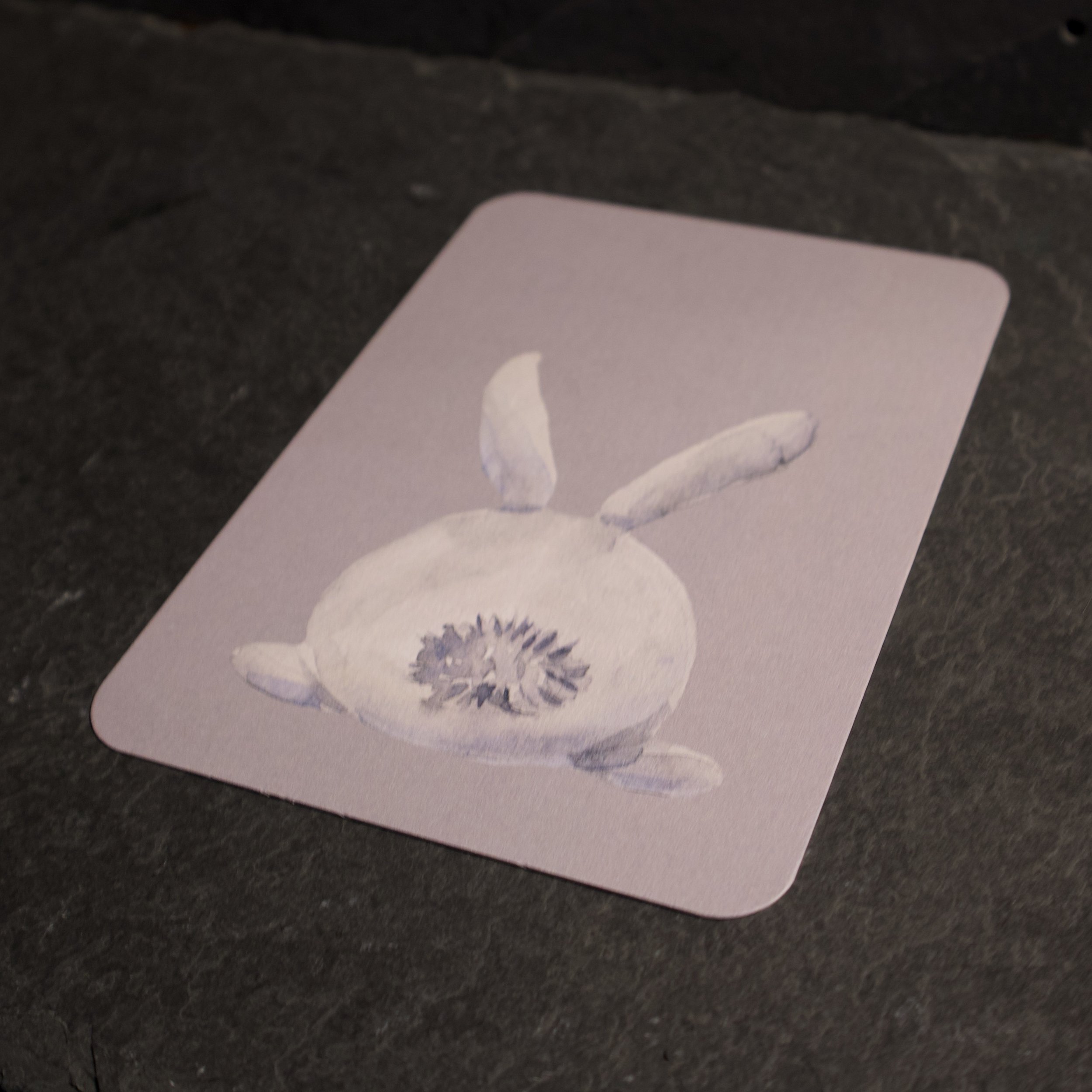 BUNNY BUTT_4.jpeg