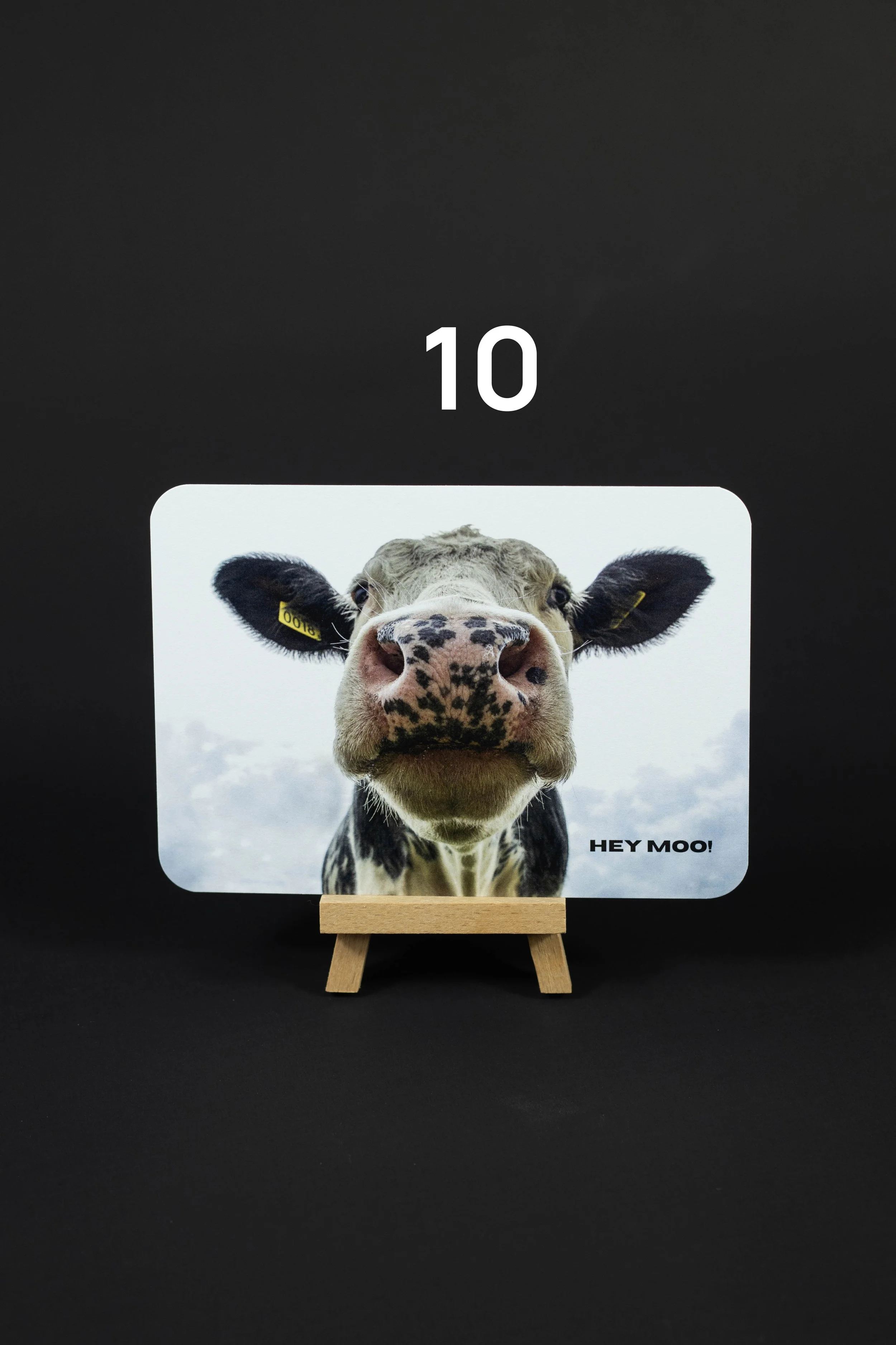 HEY MOO.jpg