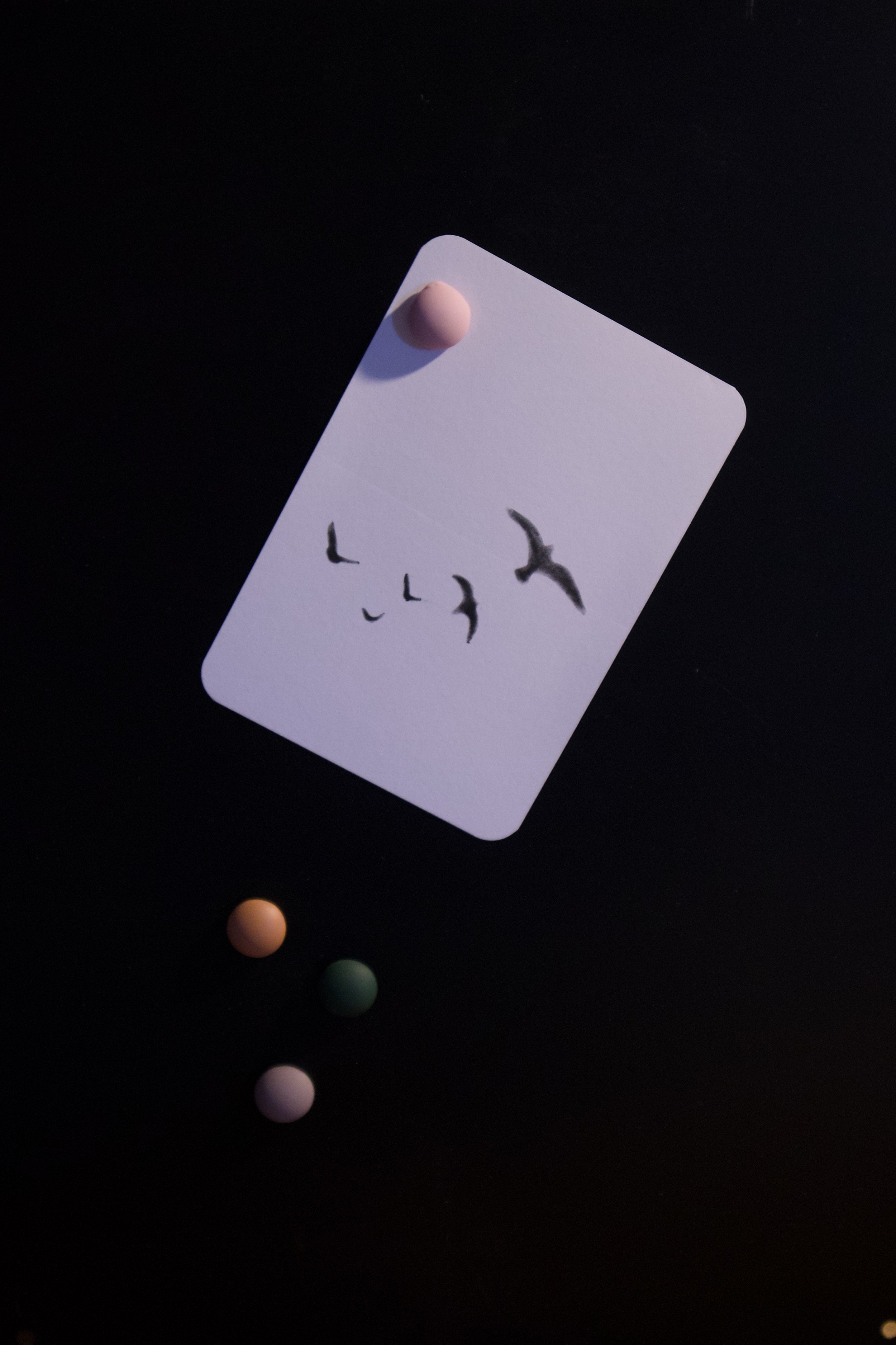 BRID STAMP CARD4.jpeg