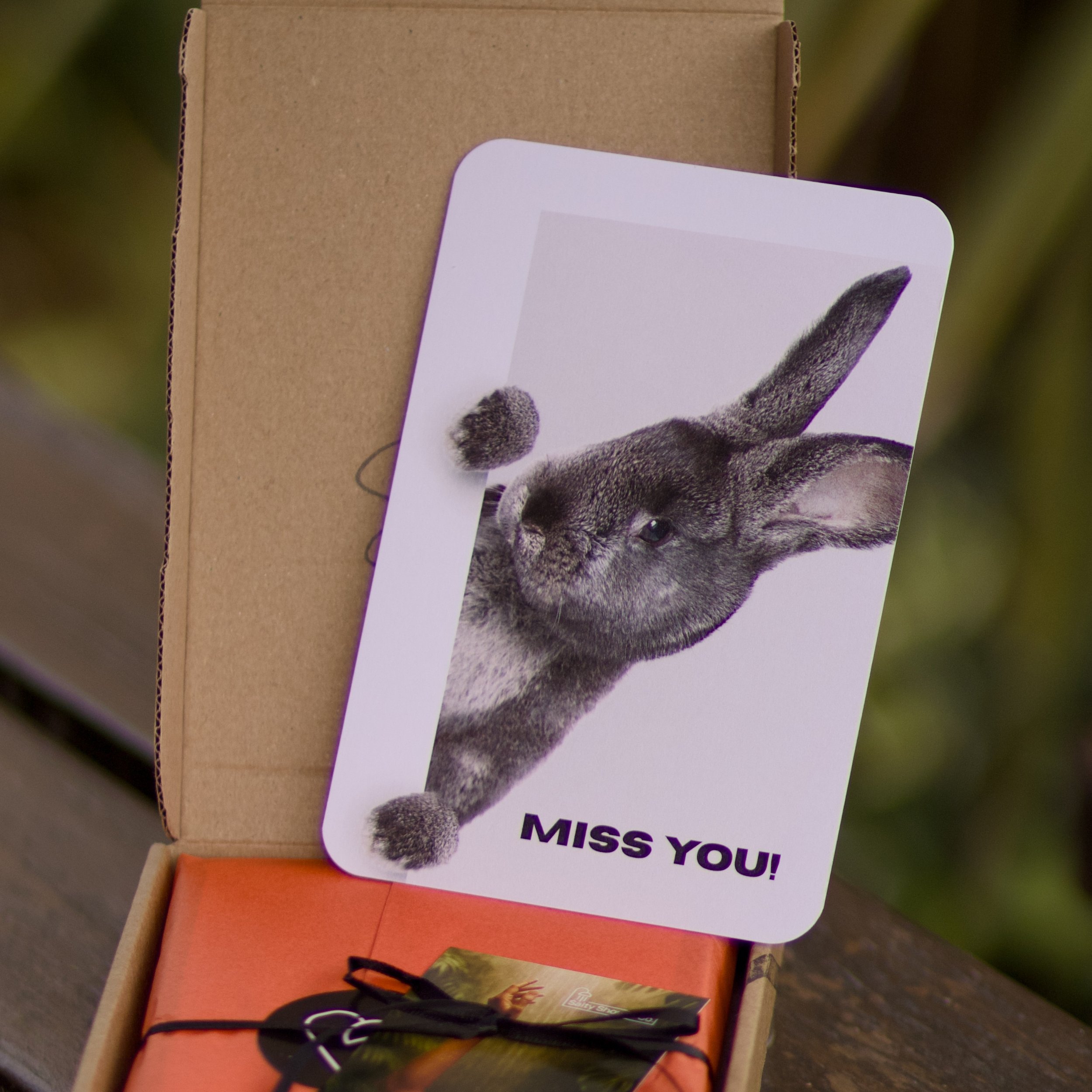 MISS YOU RABBIT - 2.jpeg