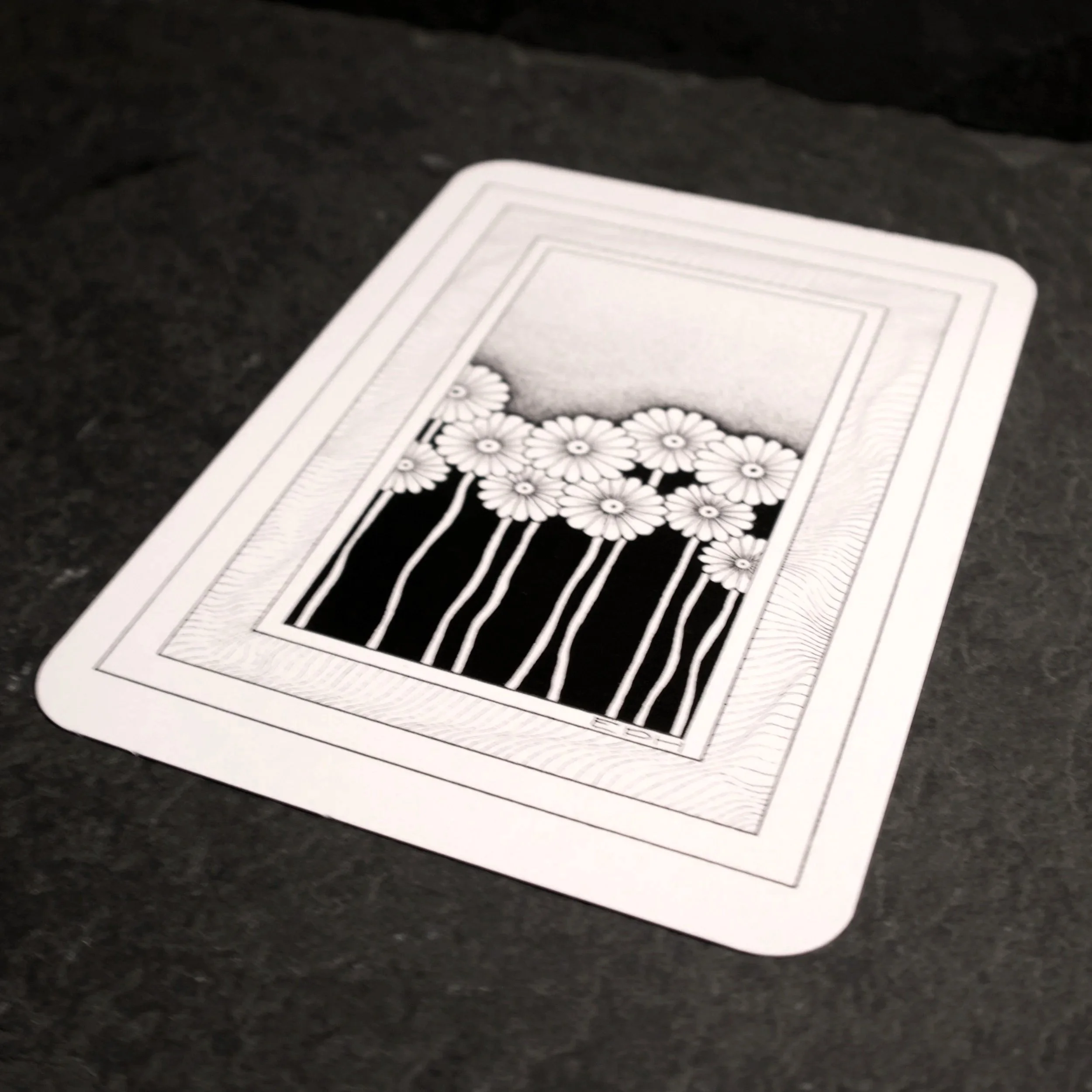My dad's doodle 5. An intricate black and white illustration of a line of daisies sat in an abstract frame - Salty Note