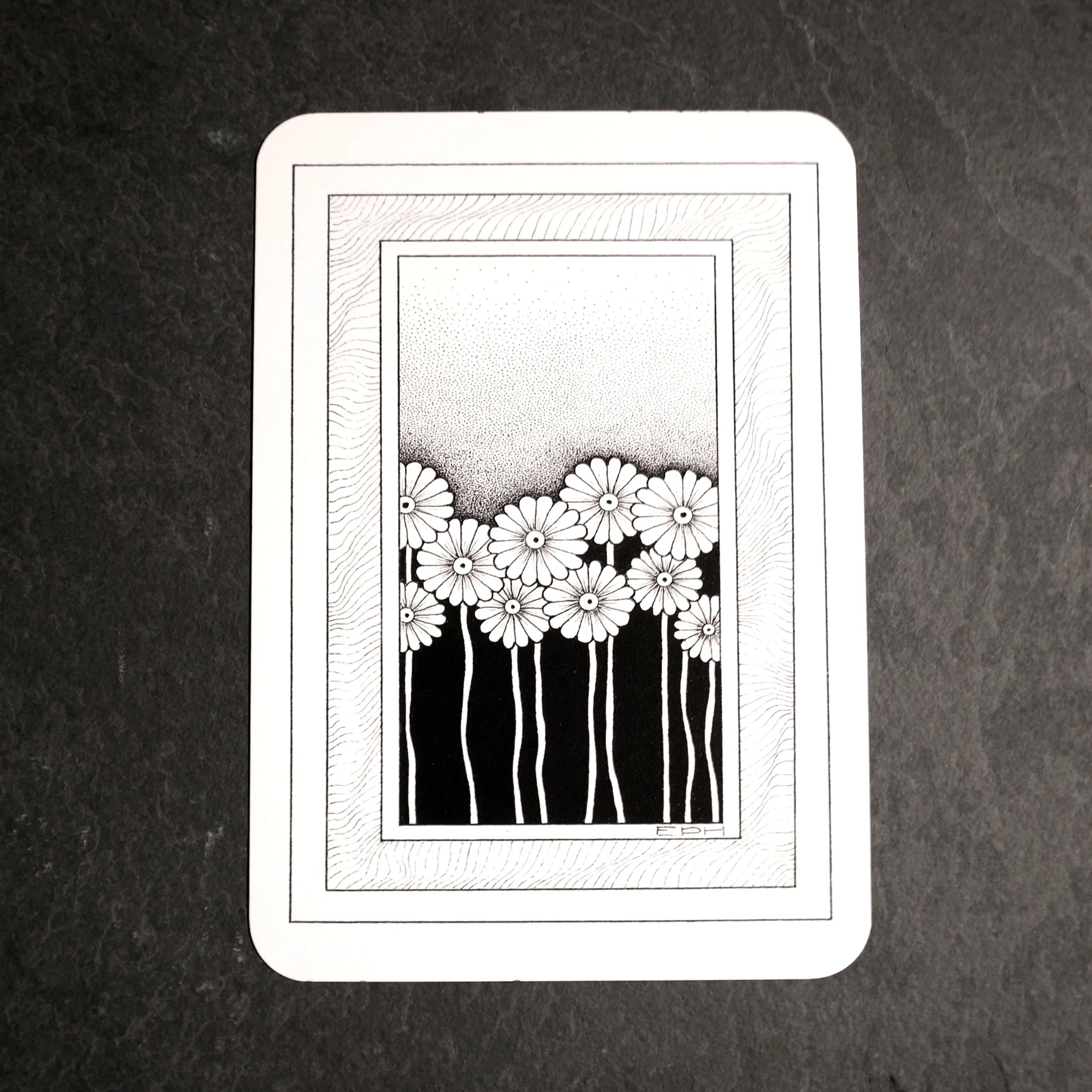 My dad's doodle 5. An intricate black and white illustration of a line of daisies sat in an abstract frame - Salty Note