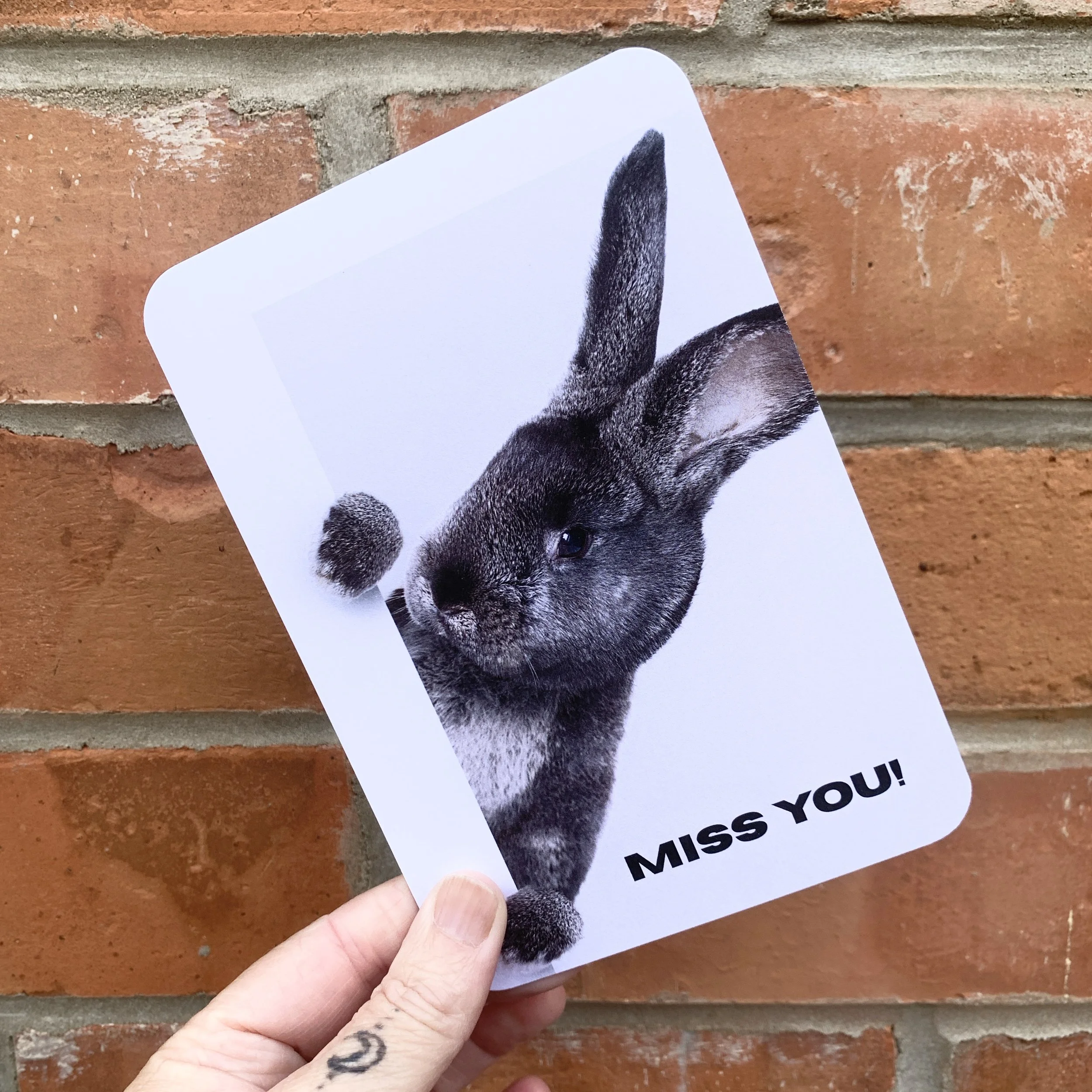 MISS YOU RABBIT - 3.jpeg