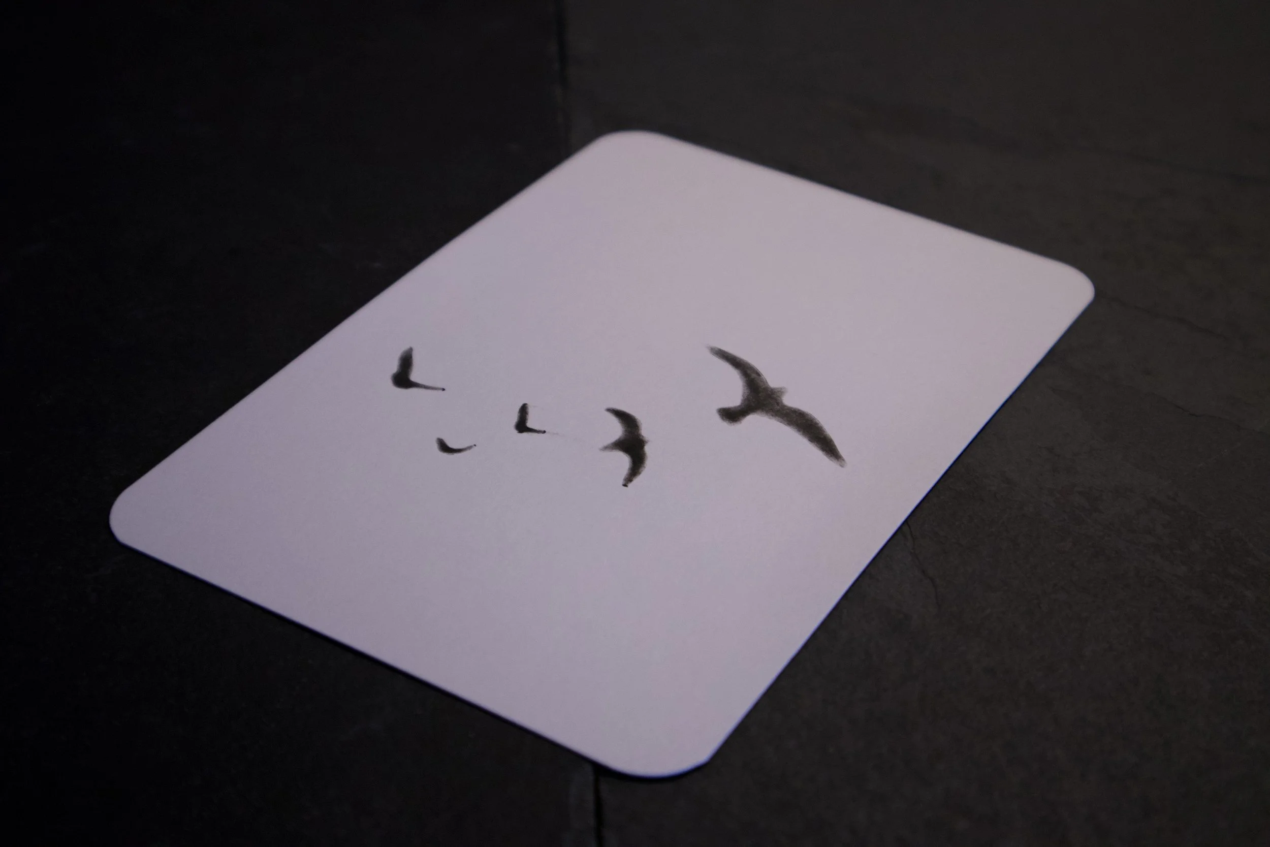 BRID STAMP CARD3.jpeg