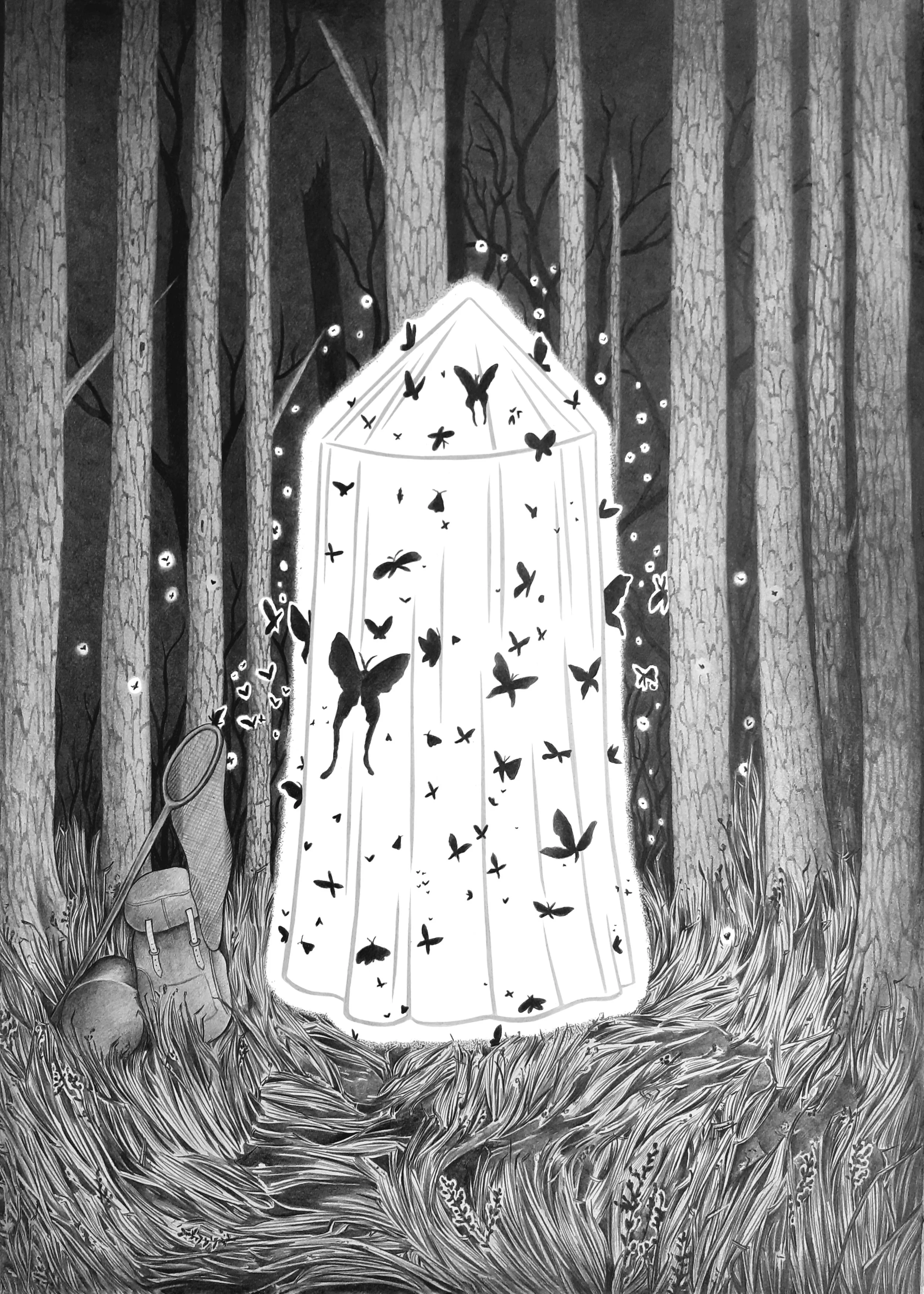 The Collector // Pencil on paper // 50 x 35 cm // 2026