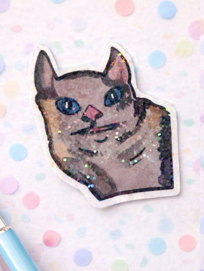 Meme gato existencial