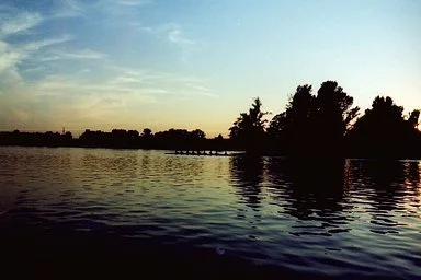 Sunset over a calm body of water with silhouettes of trees along the shoreline