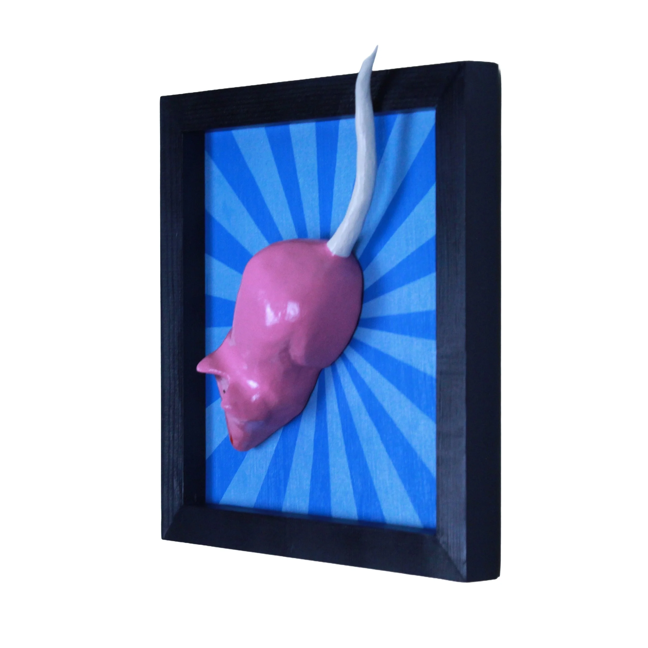 Mouse back removed.jpeg