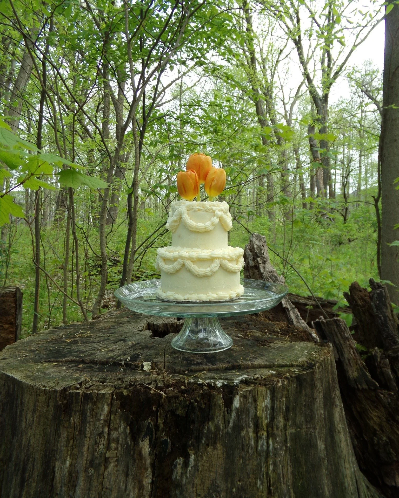 ✣ Weddings, Custom Cakes, &amp; Dessert Tables ✣

🌷Mammoth Lakes, CA
🌷Order Online at JuliaEveBaking.com