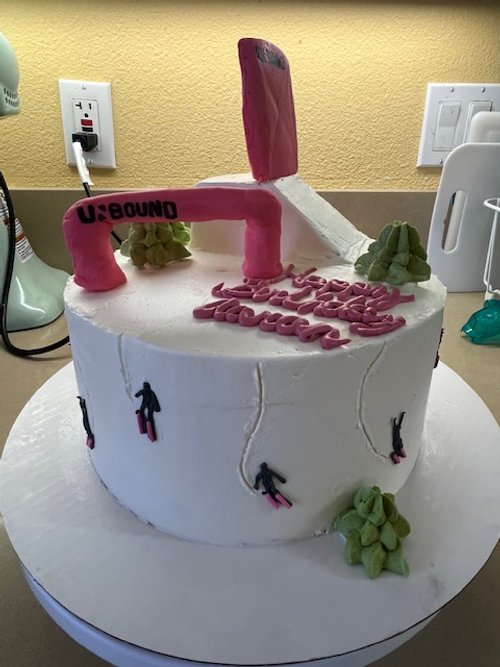 SkiingCake.jpg
