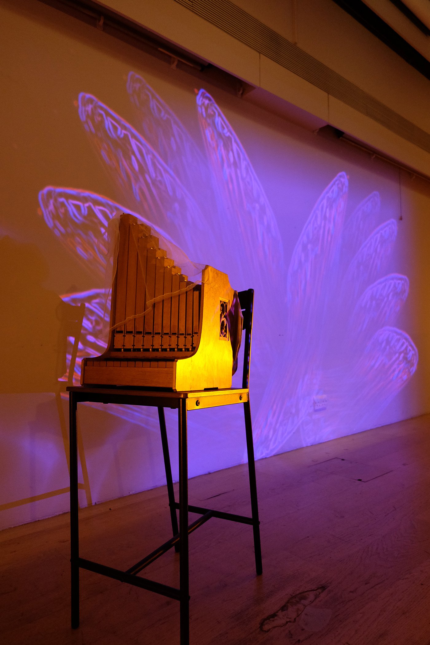 Image Credit: Egi Amarudin