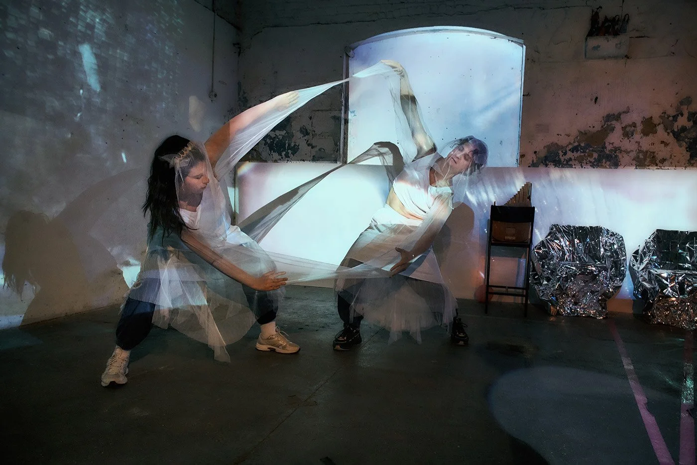 Image Credit: Amy-Rose Edlyn