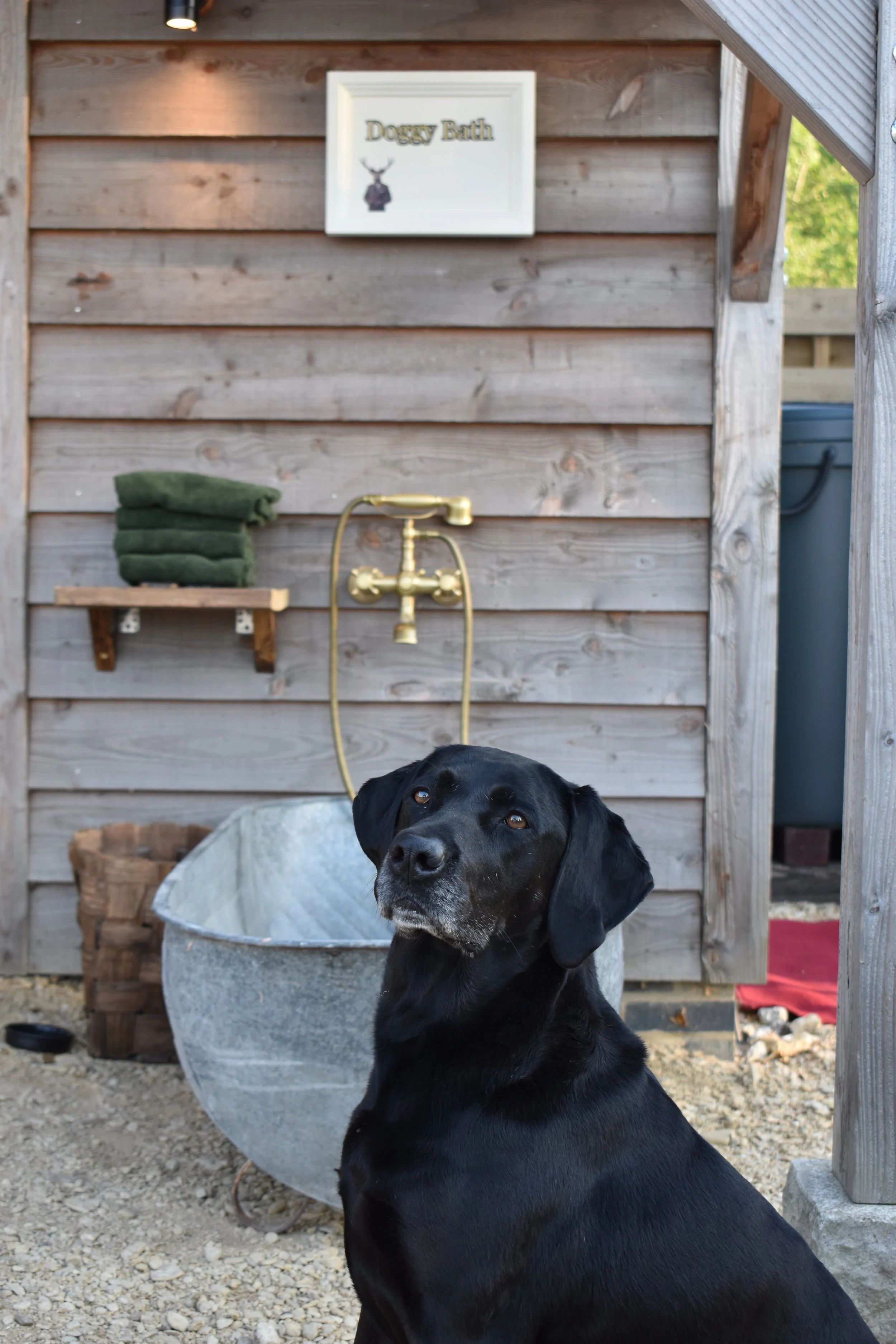 DSC_0344.JPG