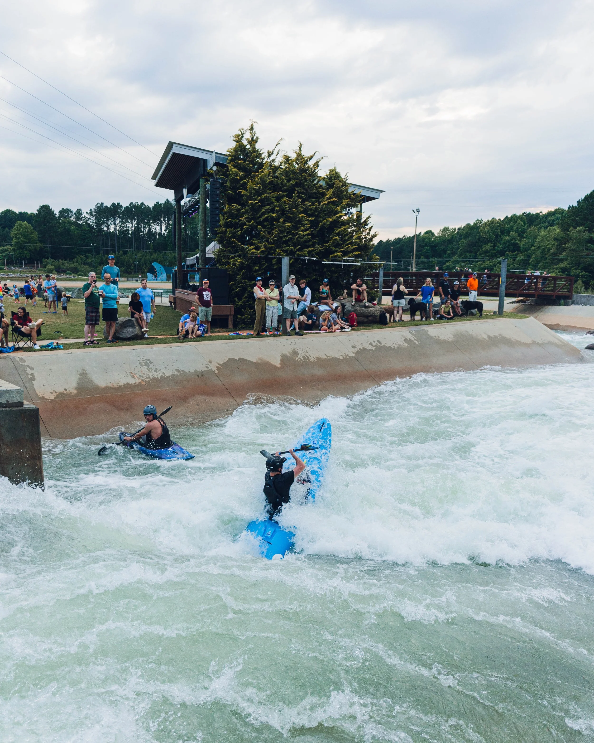DSC00181.jpg