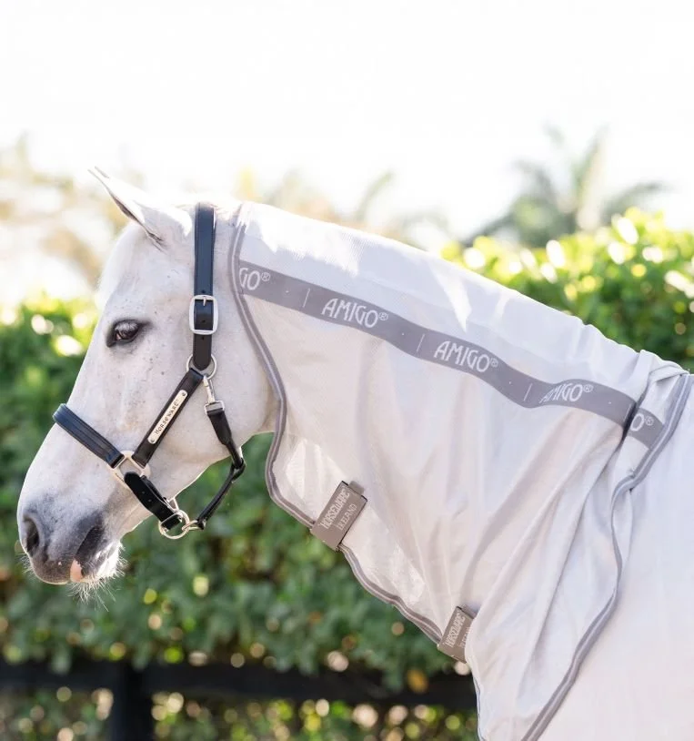 afrngs-iji0-amigo-integrated-fly-sheet-grey-integrated-neck-cover_o27cdrgurygmzcd8.jpg