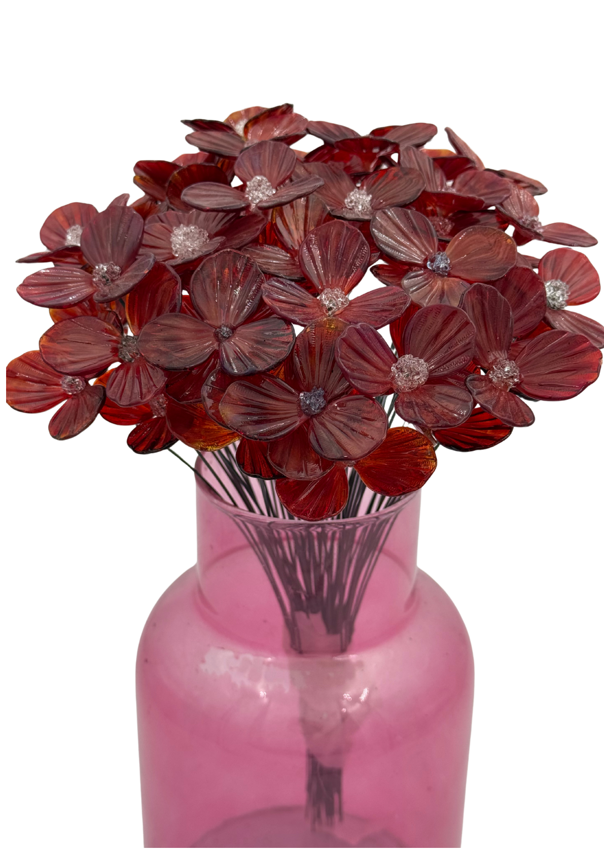 Untitled design (5).png