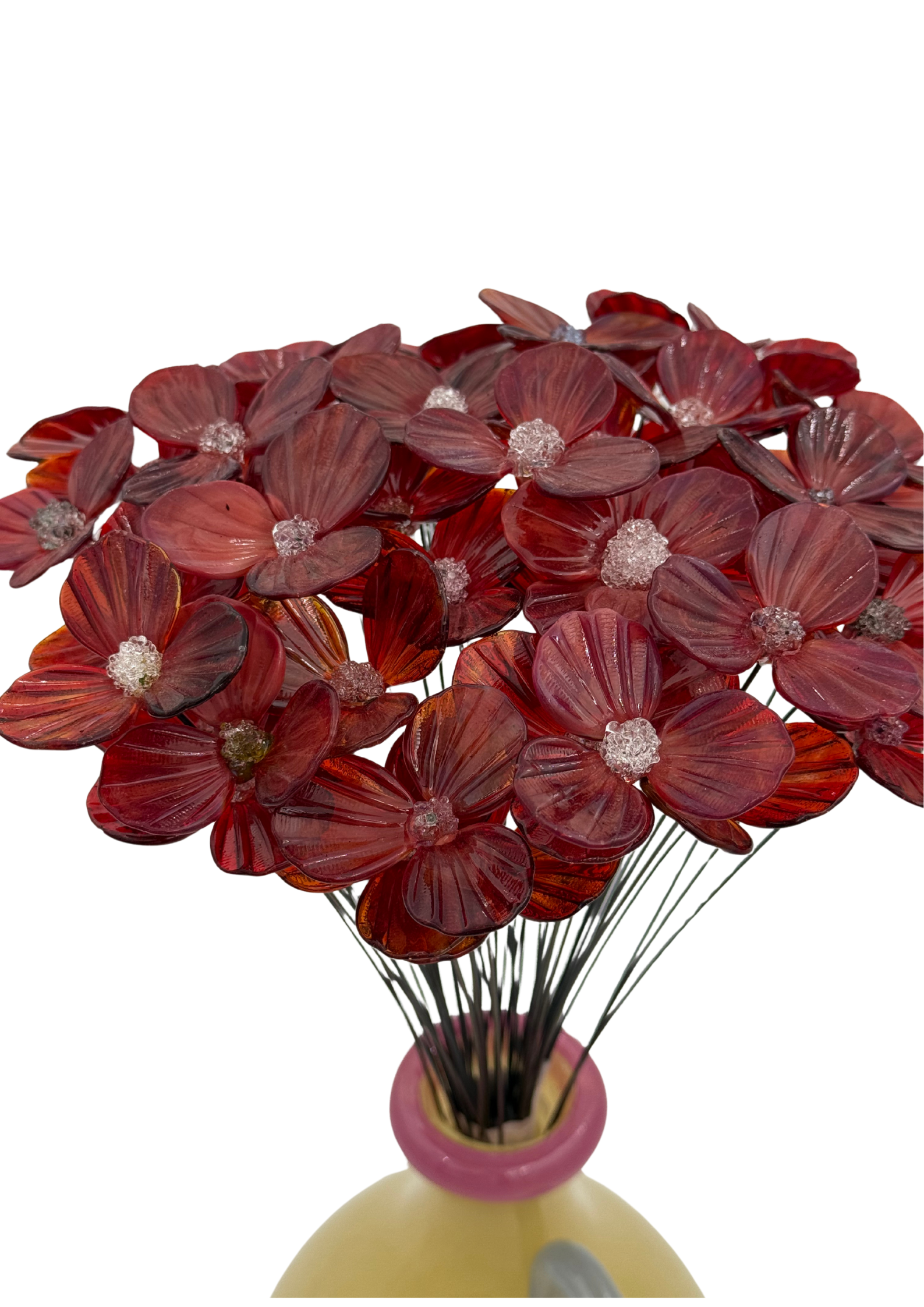 Untitled design (11).png