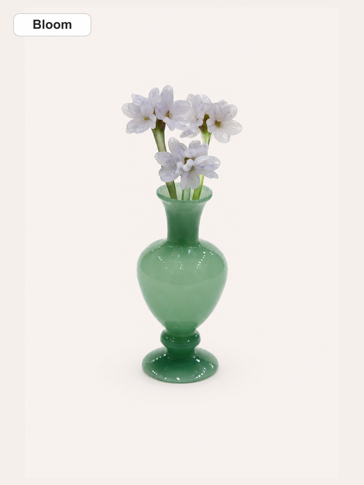 Bloom_clean.png