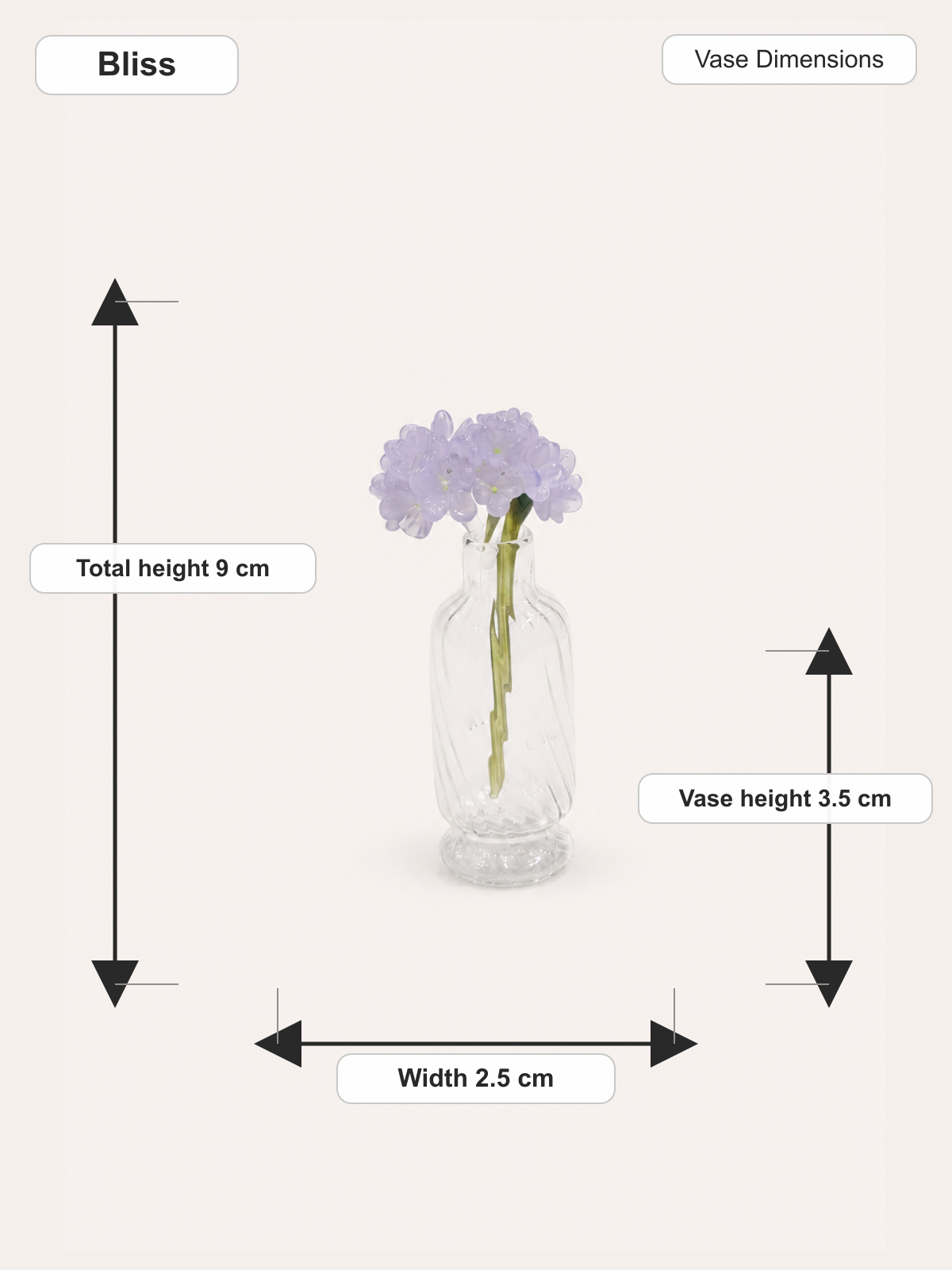 Bliss_dimensions.png (Copy)