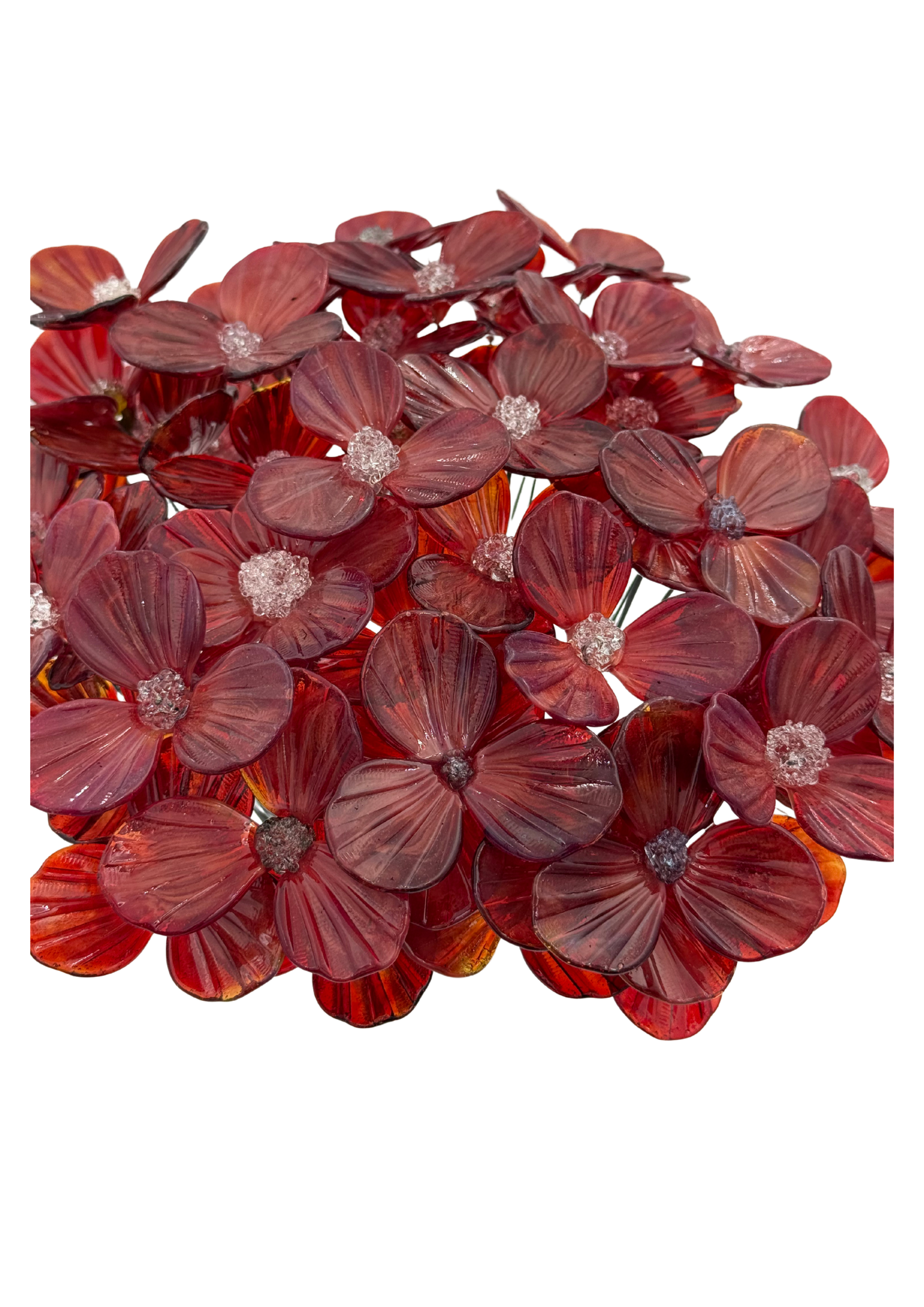 Untitled design (6).png