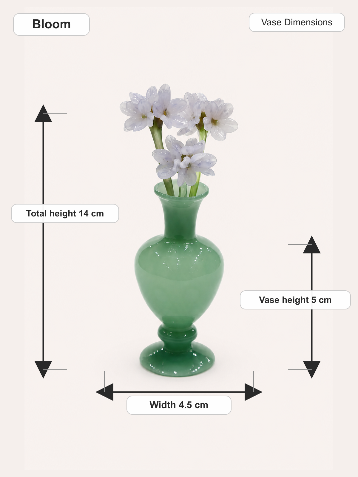 Bloom_dimensions.png