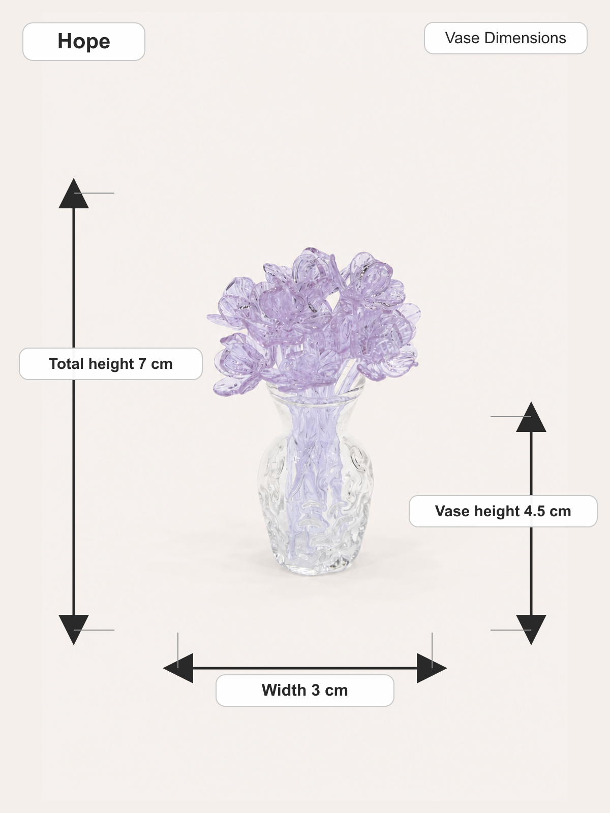 Hope_dimensions.png