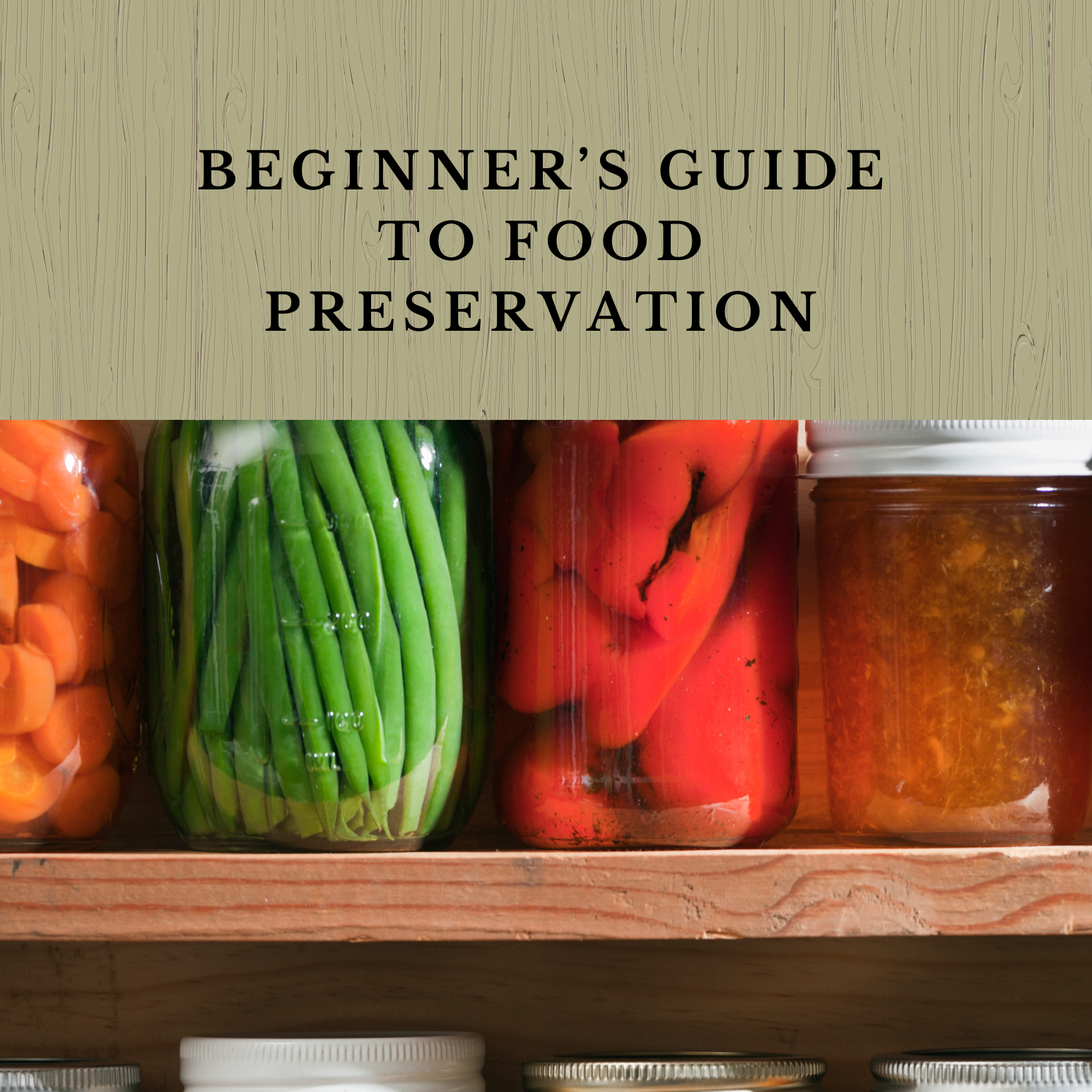 Beginner’s Guide to Food Preservation 2025 Updated Digital Edition