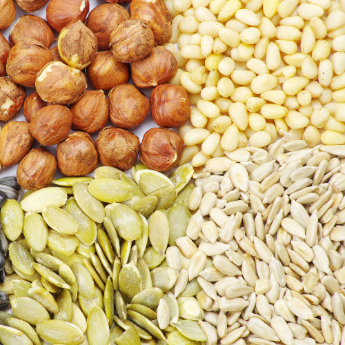 How to Harvest and Save Seeds