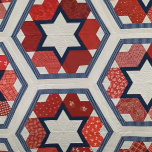 Brazos Bluebonnet Quilting Guild Quilt Show 2025: Celebrating First-Time Exhibitor Wins