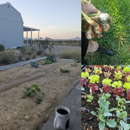 Homesteading and Handmade Life: A Curated Collection for Sustainable Living