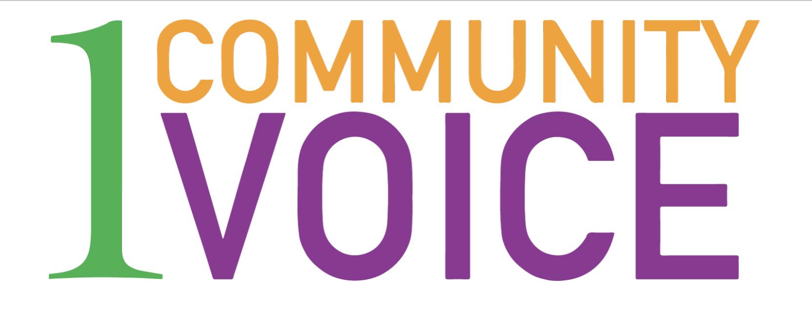 One Community One Voice maintains a mutually beneficial partnership with LCS throughout the year. They run student incentive programs geared towards attendance and grades, support Family Engagement Initiatives (through clothing and school supplies),