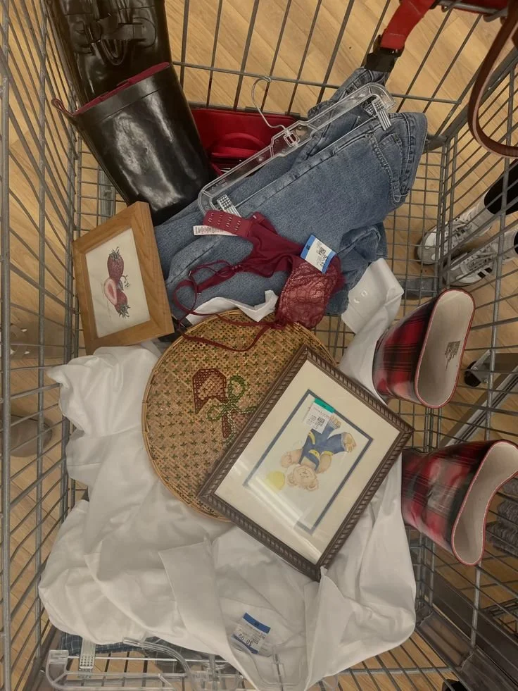 The Art of Thrifting