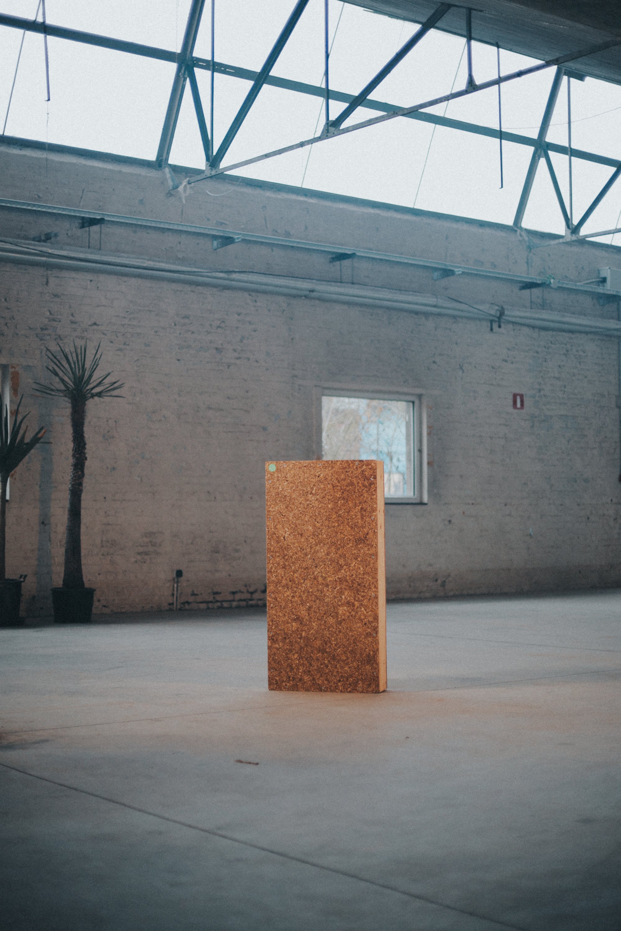 Earth Plus BTS-15.jpg