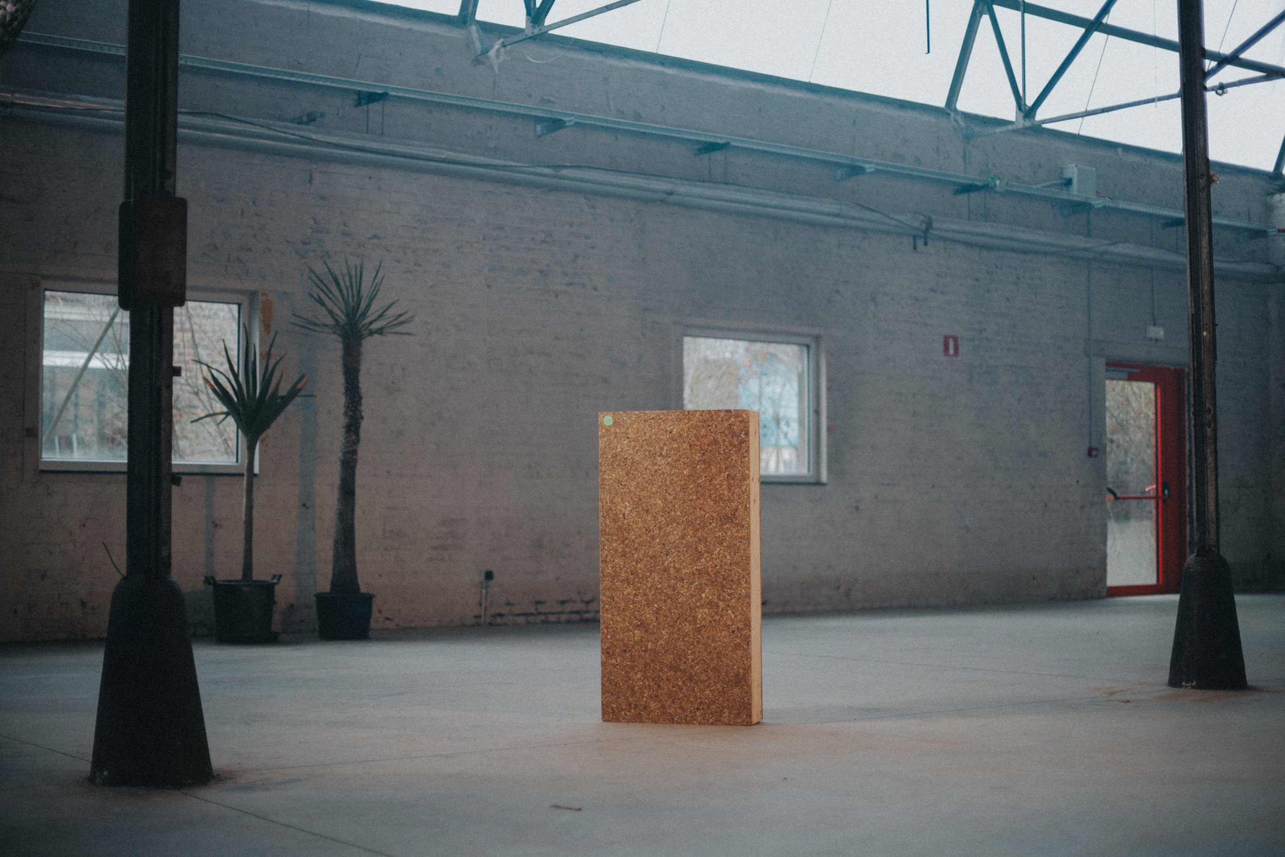 Earth Plus BTS-13.jpg