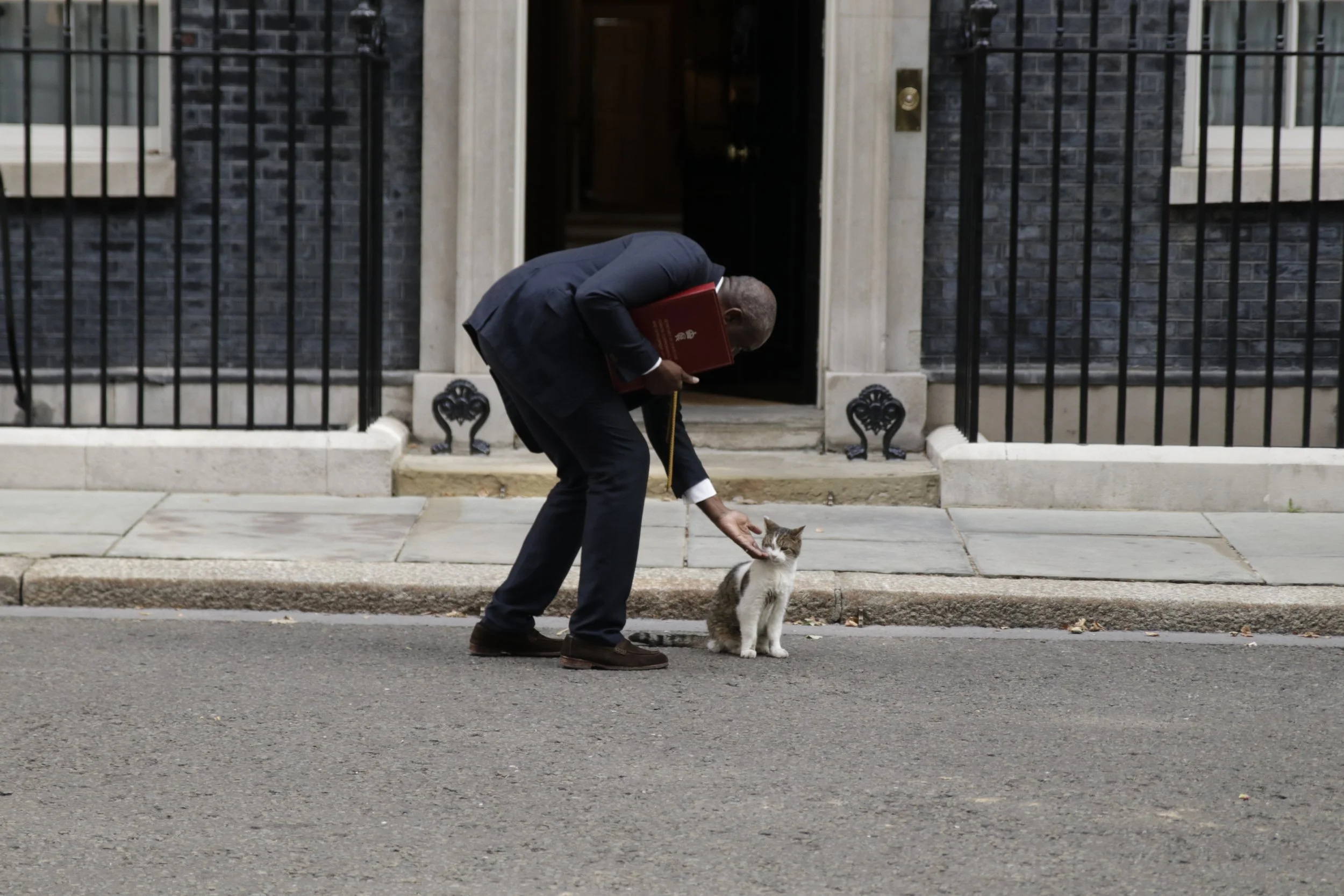 Lammy pets Larry. Deputy PM David Lammy Arrives at No. 10 Downing Street for the weekly Cabinet Meeting with the PM. Downing Street, London. 15th JULY 2025. (Credit: Charlie McCaldwell / Getty Images)