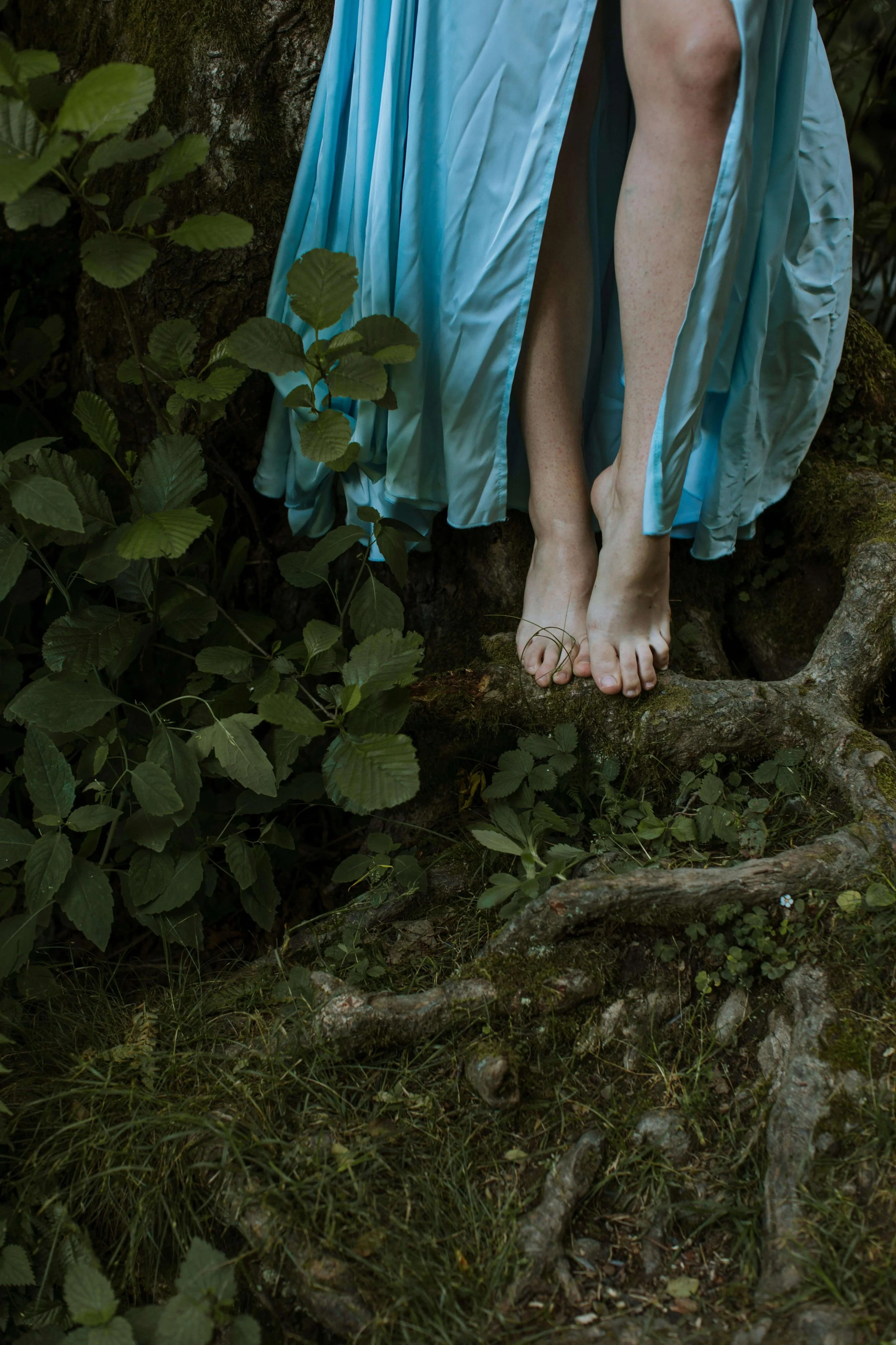 Bare feet on a tree root in forest