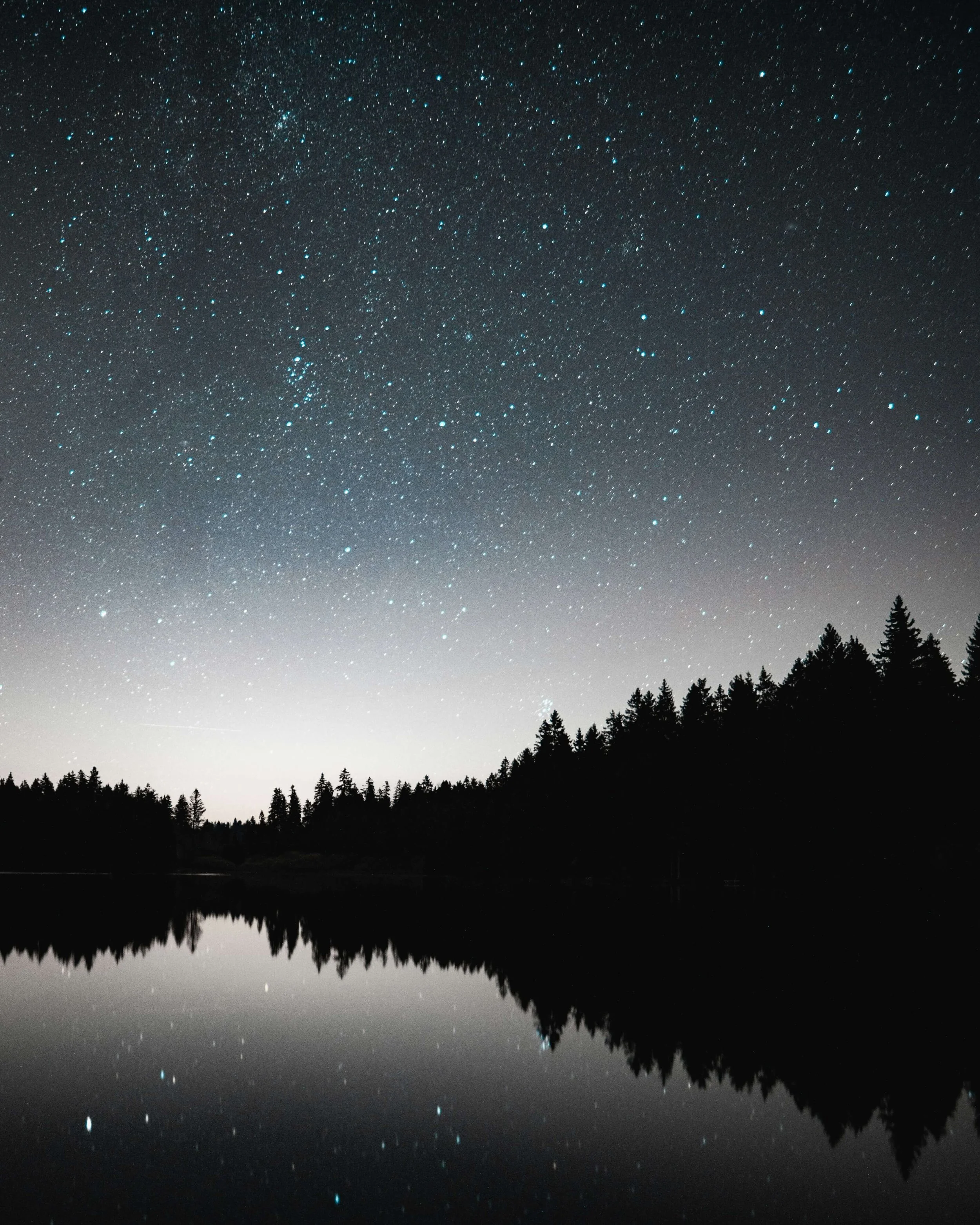 Let go of what you no longer need on the New Sturgeon Moon