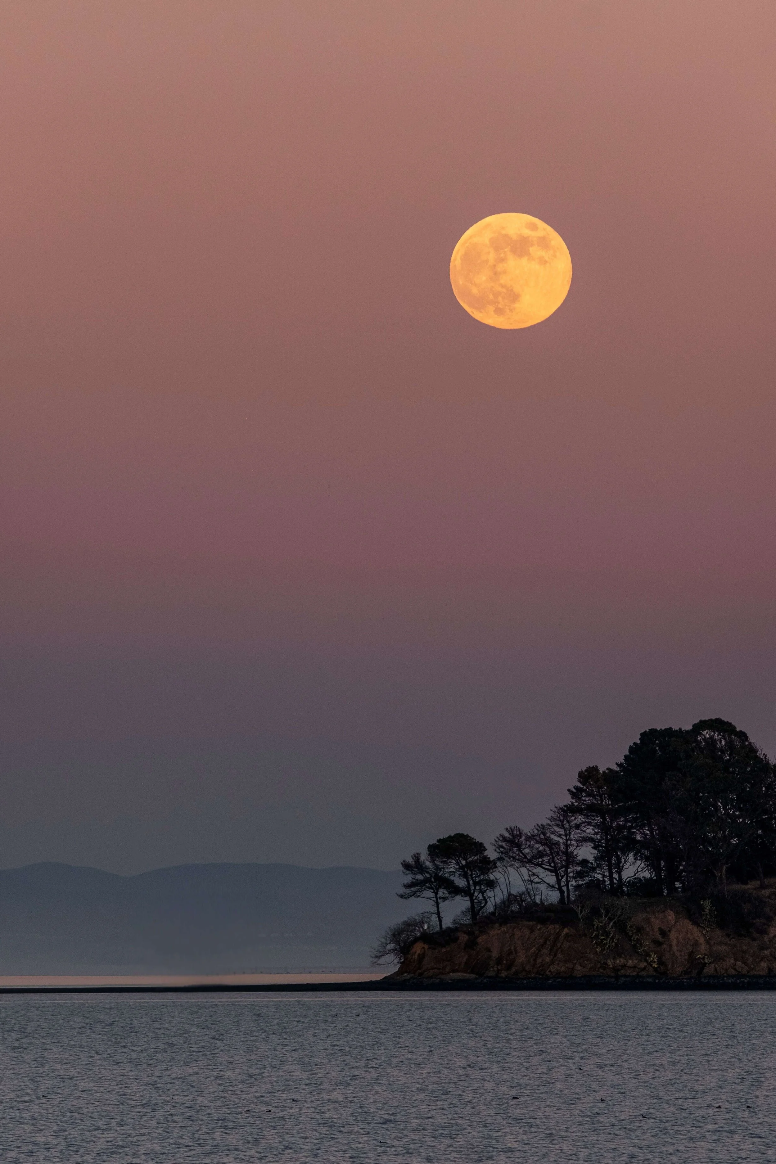Shape the World Through Play on the Full Sturgeon Moon