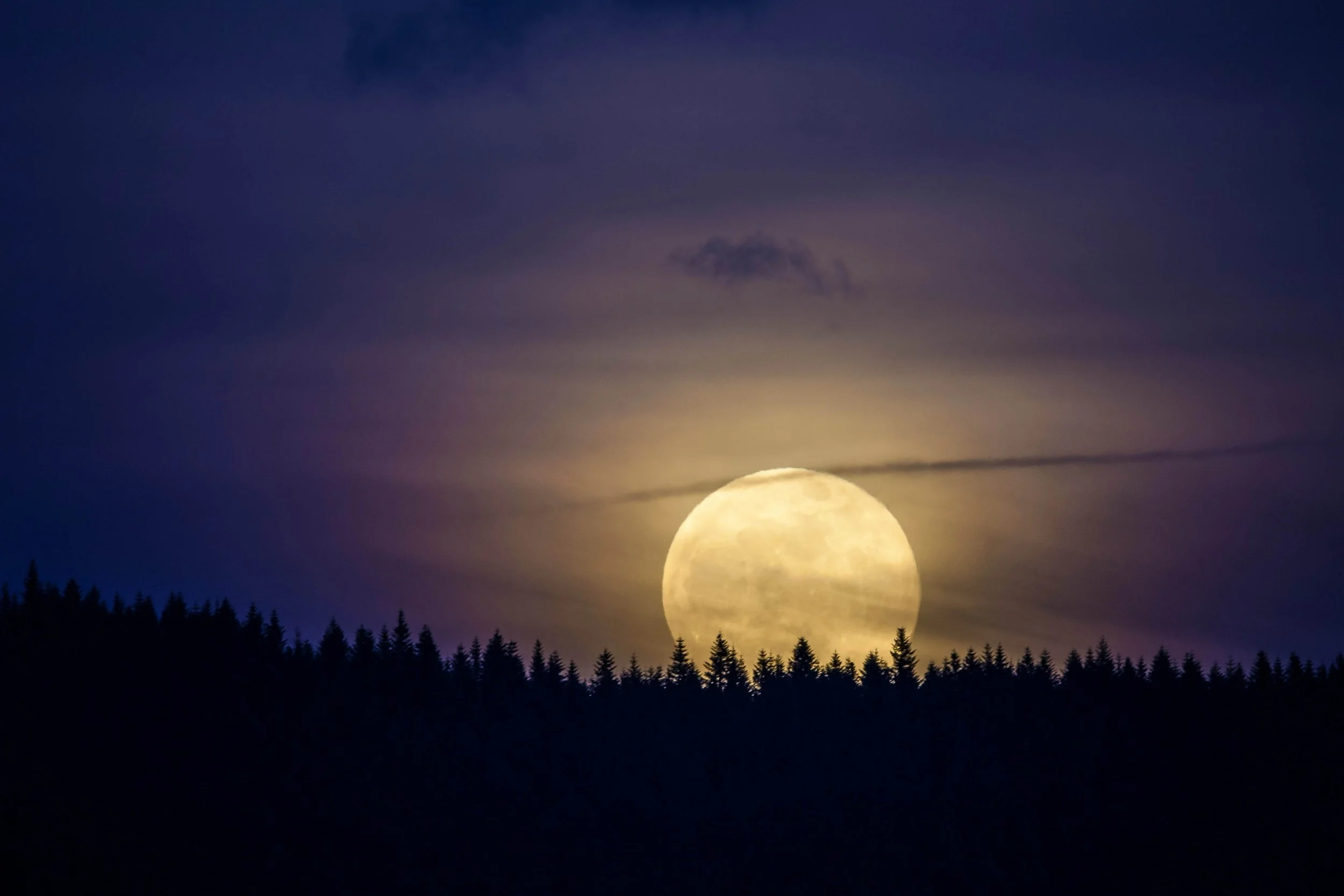 Reflect &amp; Replenish: Guided Meditation for the Full Hunter Moon