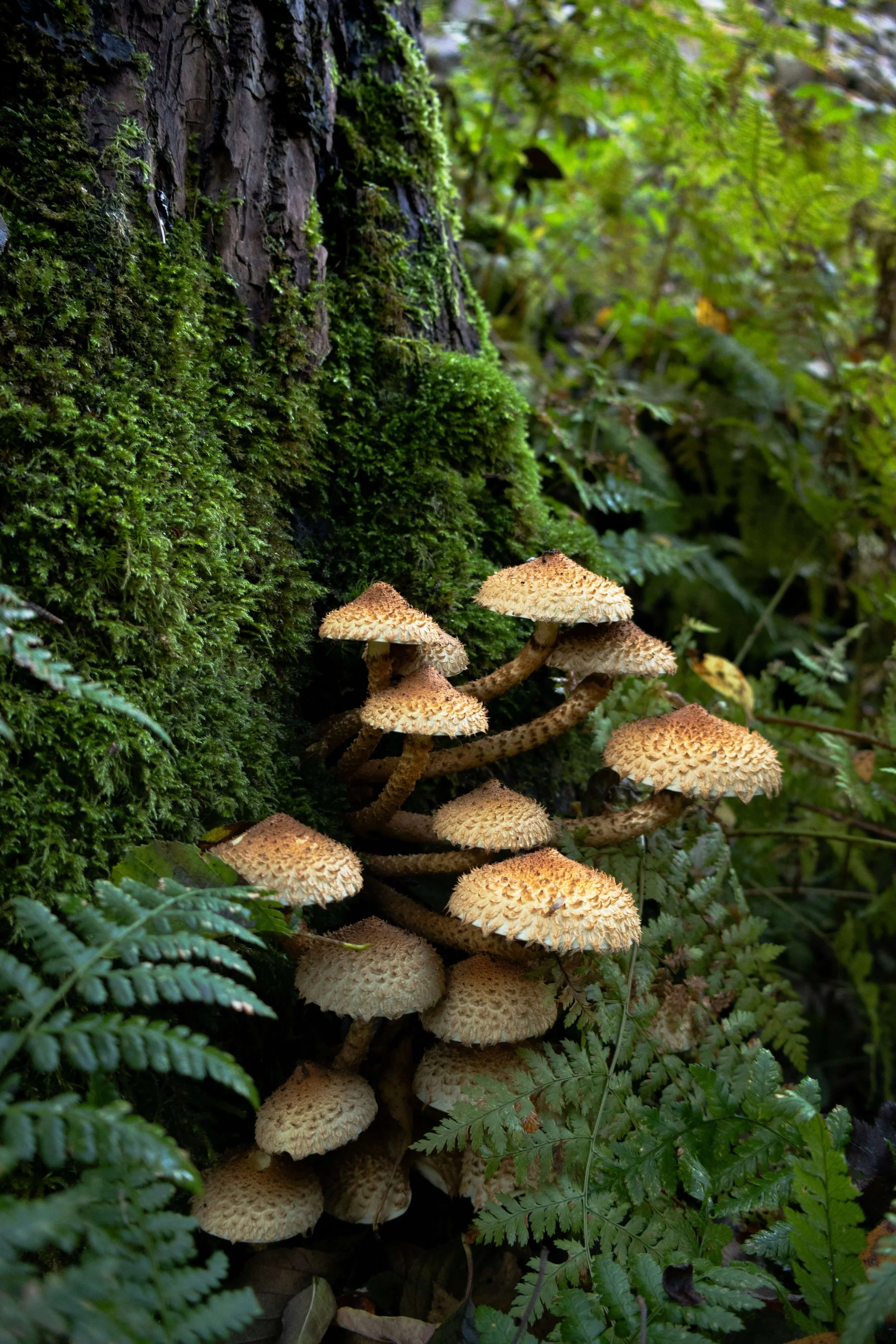 Let Nature Nourish Your Creativity