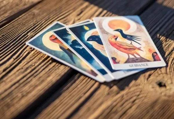 Oracle cards on a wooden bench.